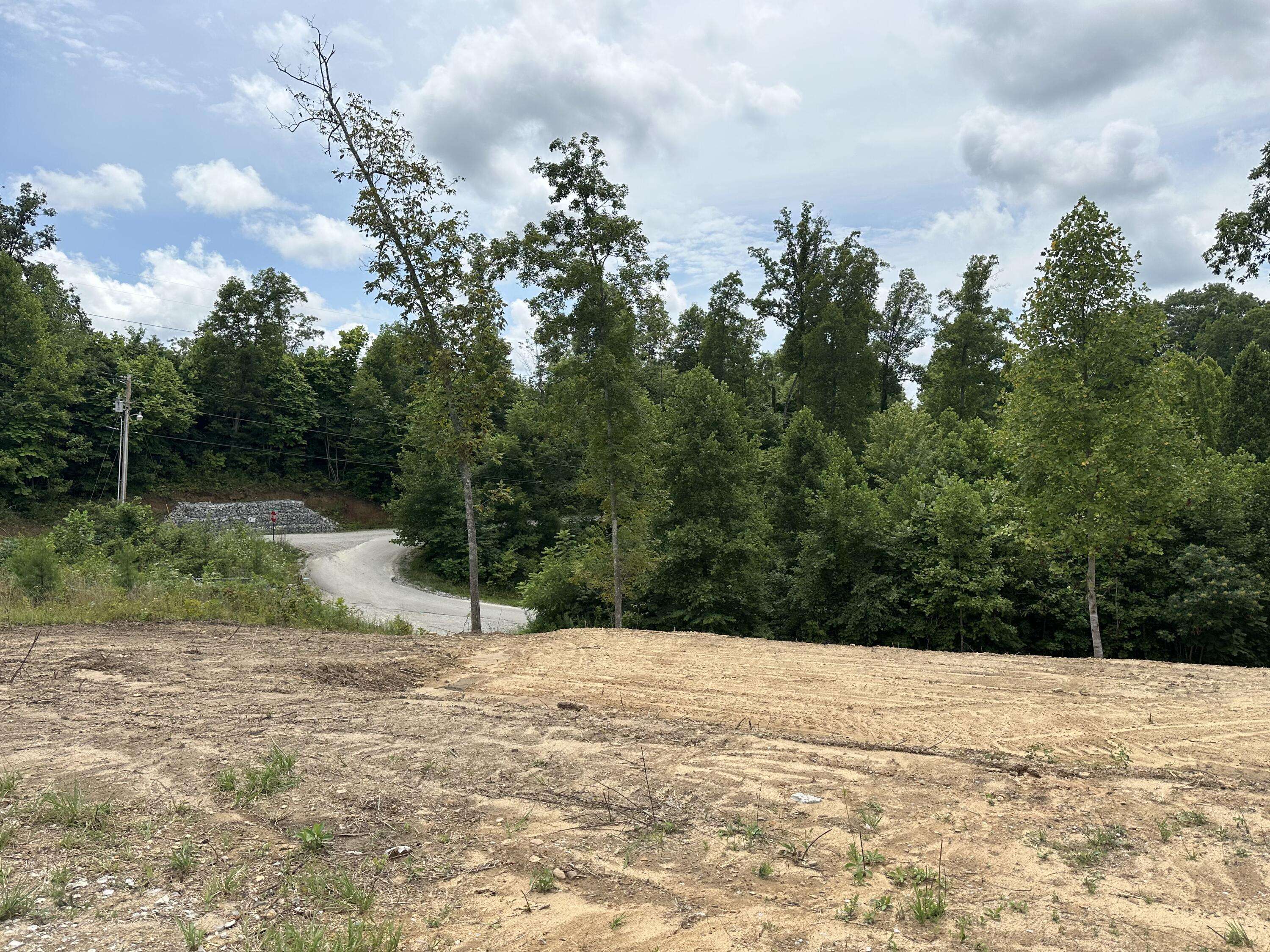 East Bernstadt, KY 40729,Lot D Stella Lane
