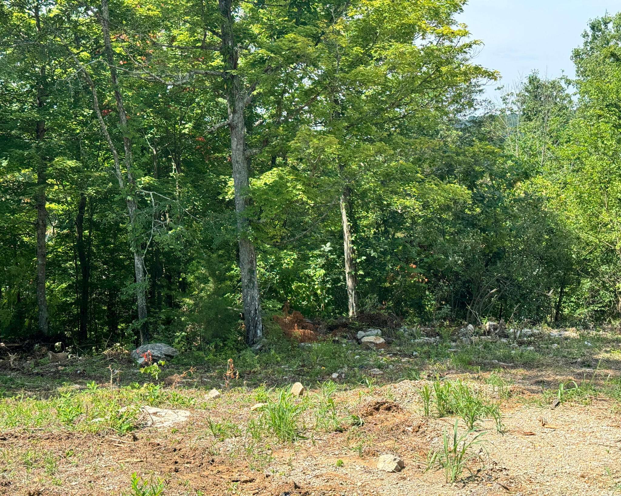 Somerset, KY 42501,Lot 23 Spanns Lane