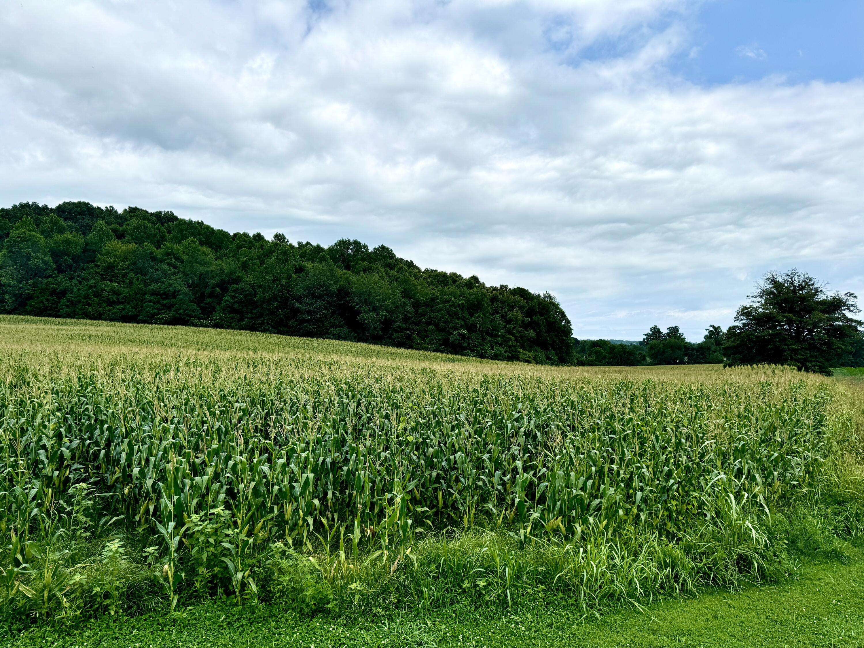 Science Hill, KY 42553,9999 US Highway 27