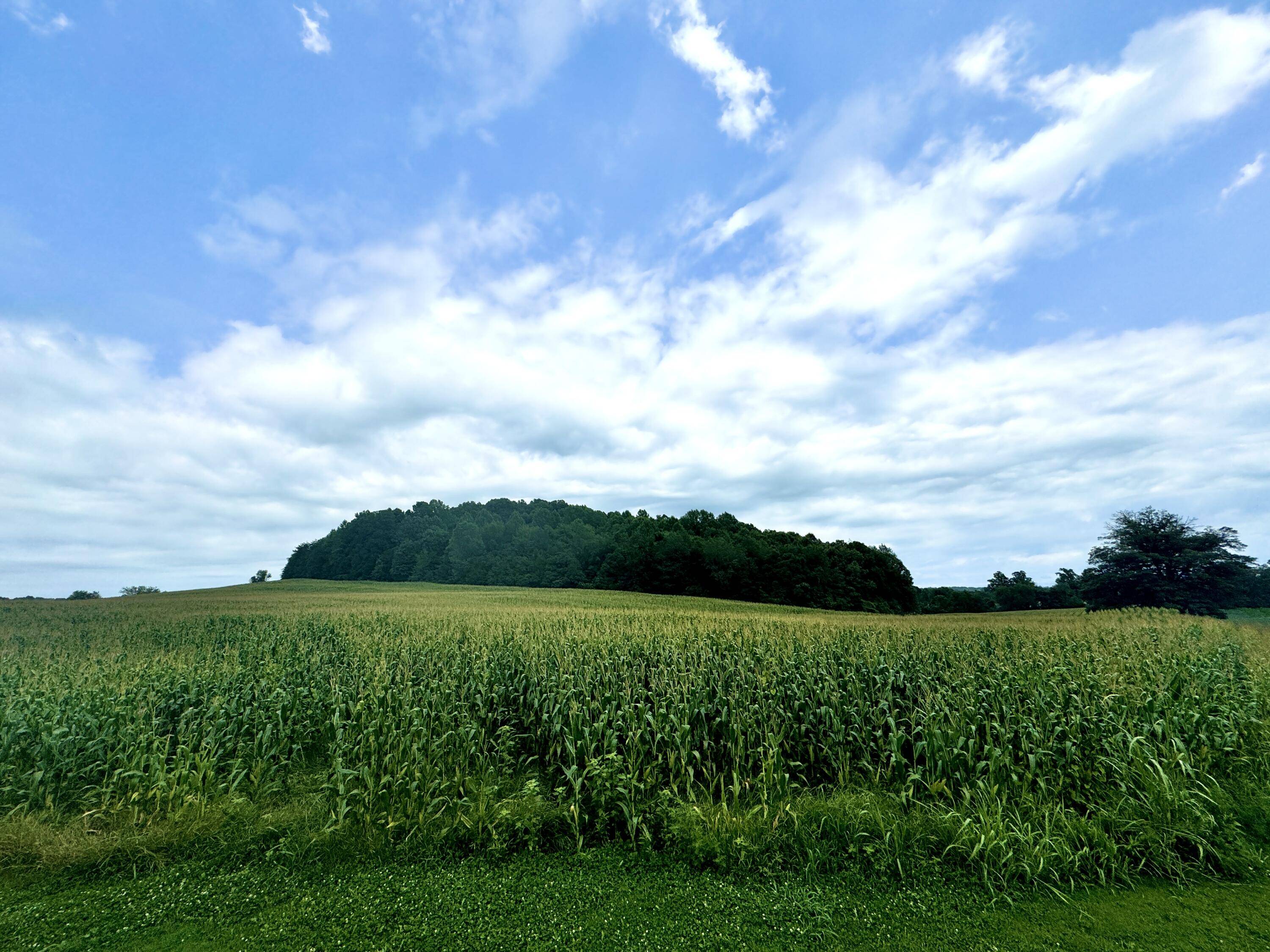 Science Hill, KY 42553,9999 US Highway 27