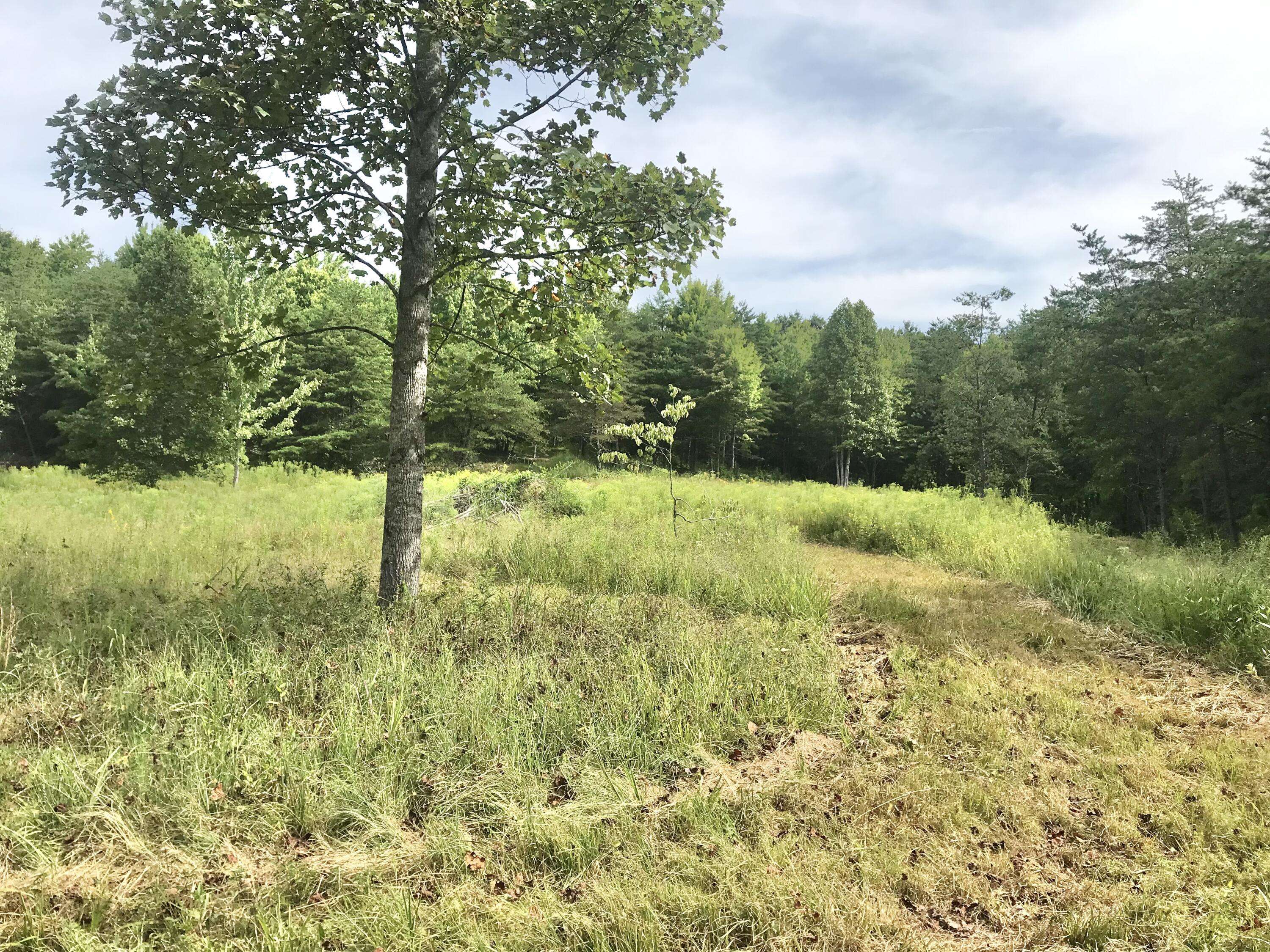 Olive Hill, KY 41164,147 Hanshaw Road #147 Acres Land