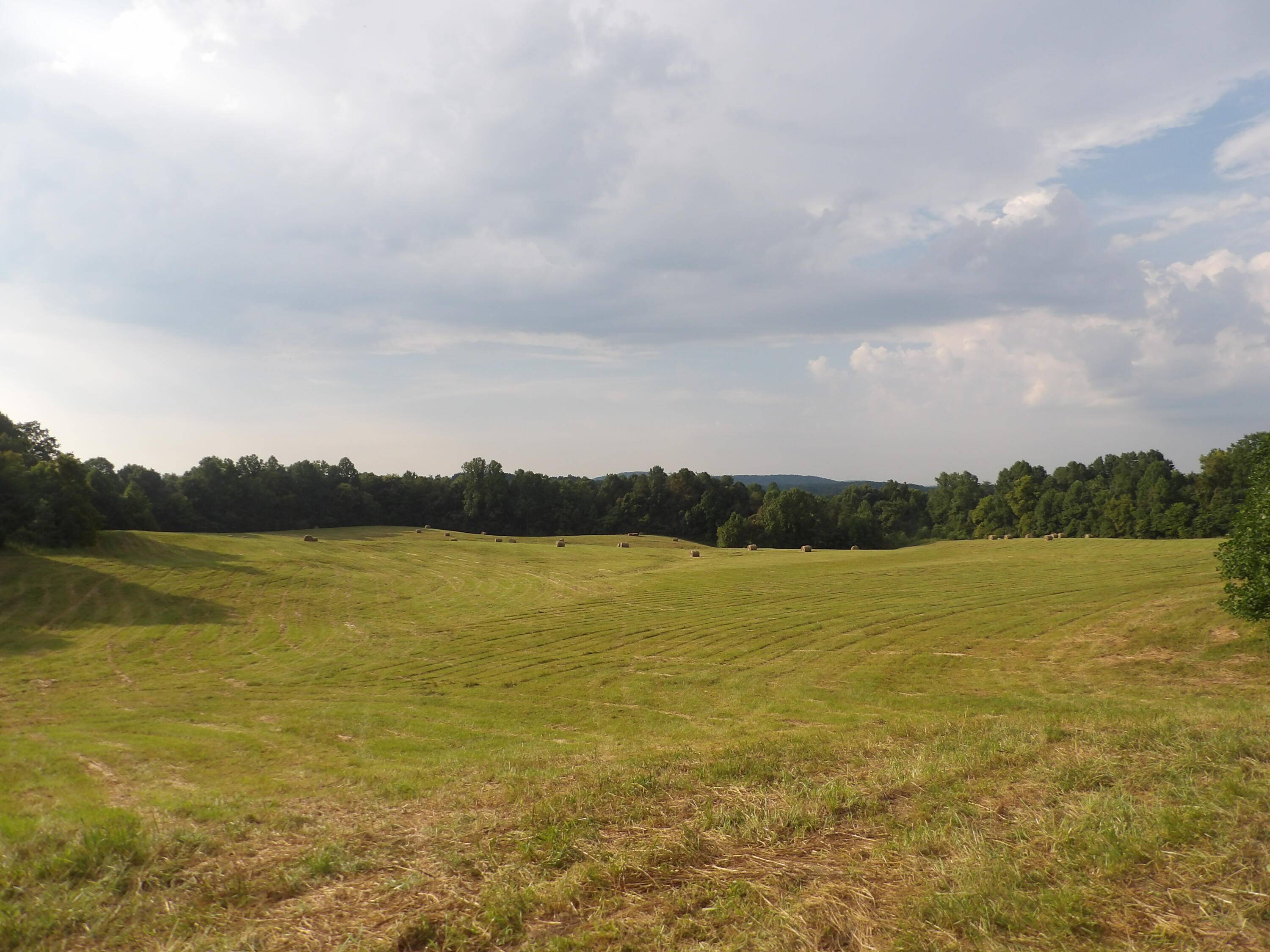 Monticello, KY 42633,371 Dug Road Road