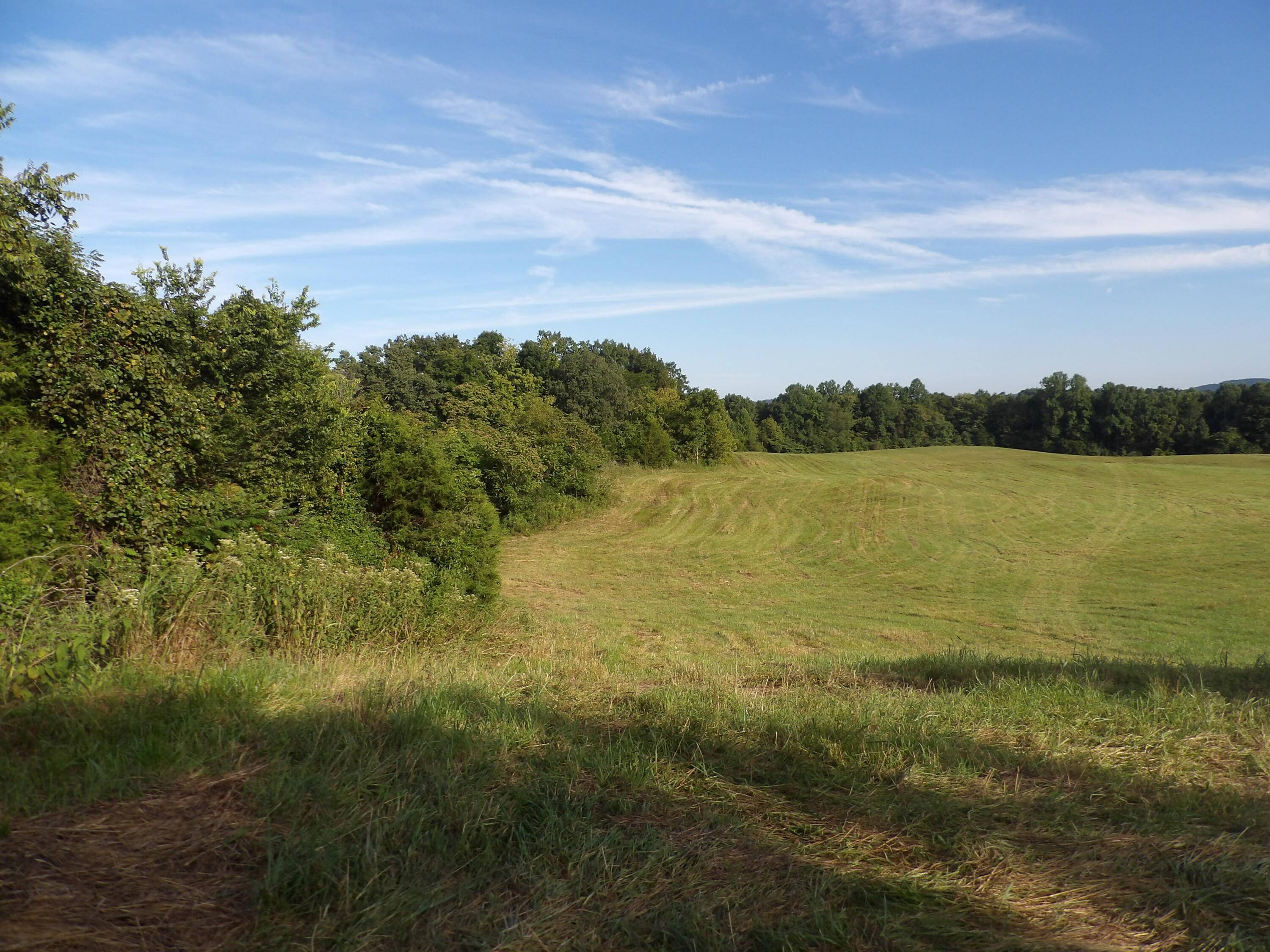 Monticello, KY 42633,371 Dug Road Road