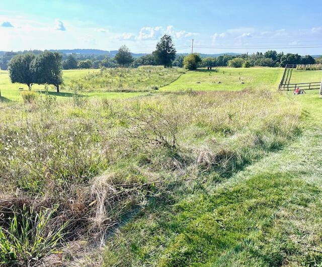 Science Hill, KY 42553,Lot# 42 Johnny Drive