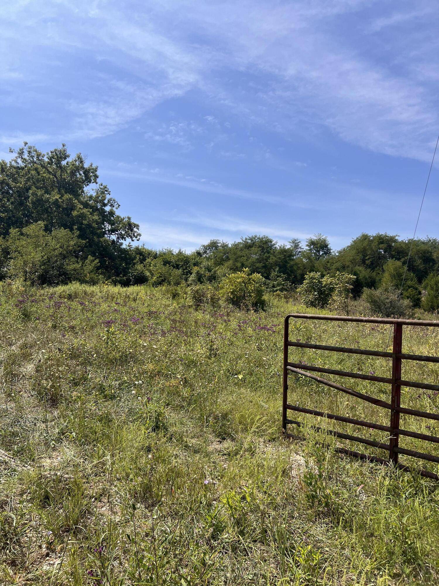 Mt Olivet, KY 41064,0 Pinhook Road