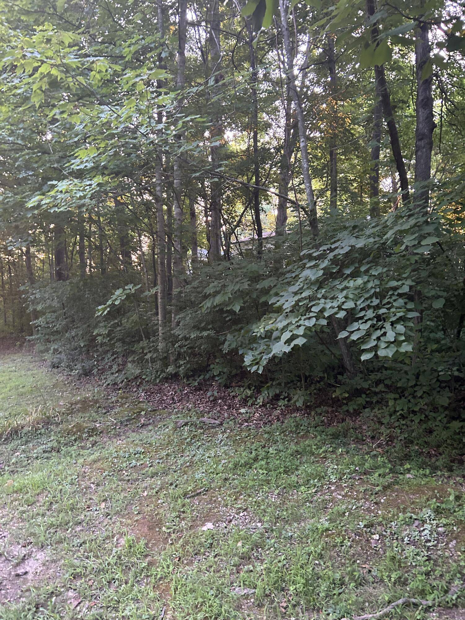 Somerset, KY 42503,Lot Shoreline Drive