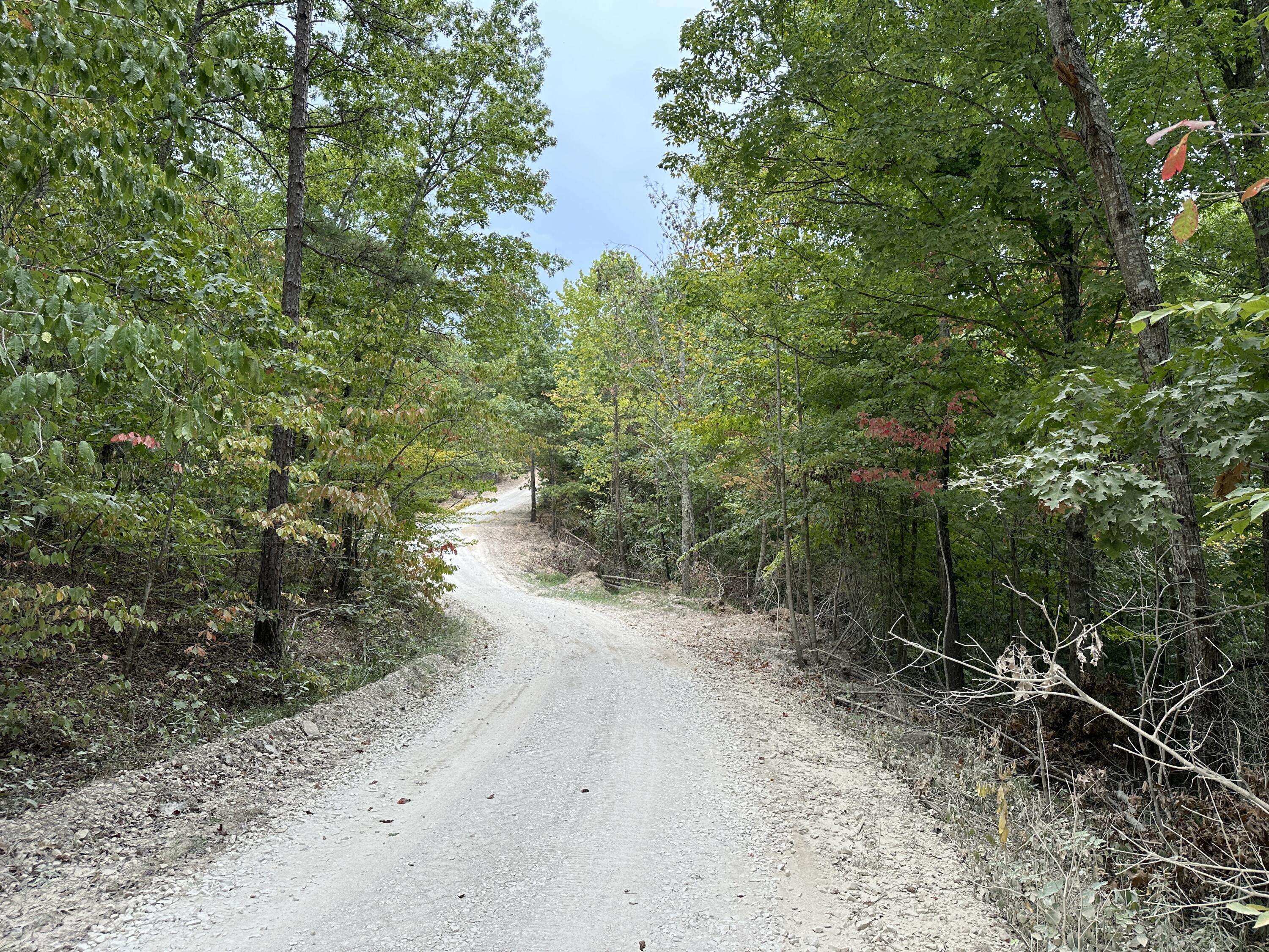 Hitchins, KY 41146,777-A Clay Camp Road