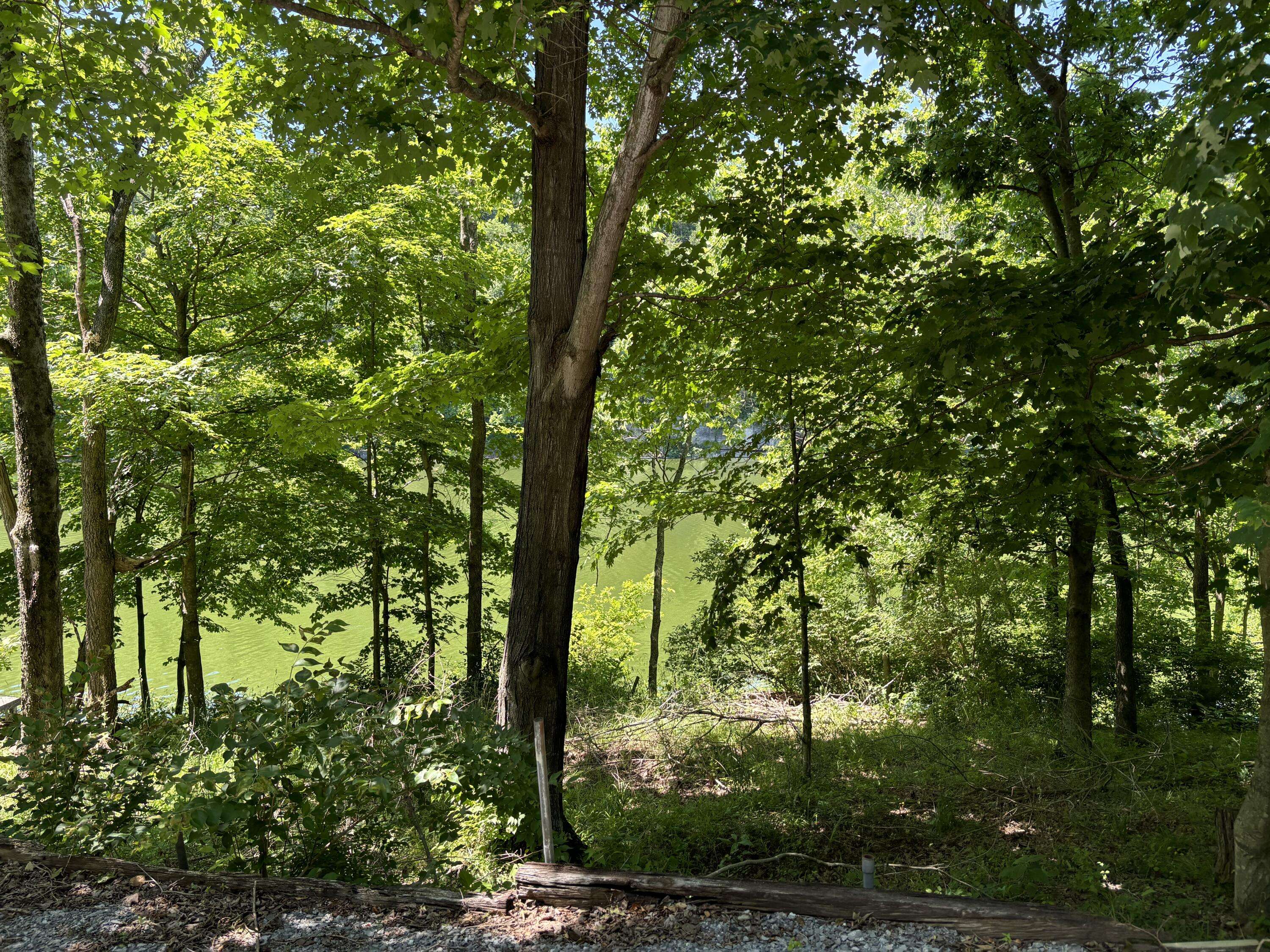 Lancaster, KY 40444,lot 3 Bryants Camp Road