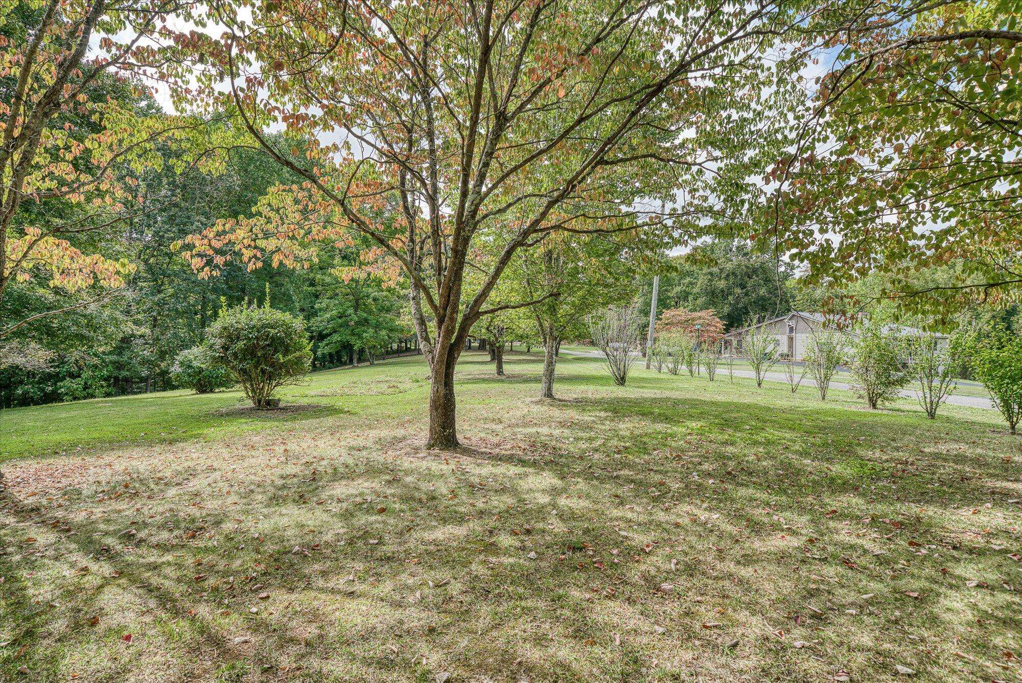 Albany, KY 42602,15 Oak Leaf Lane