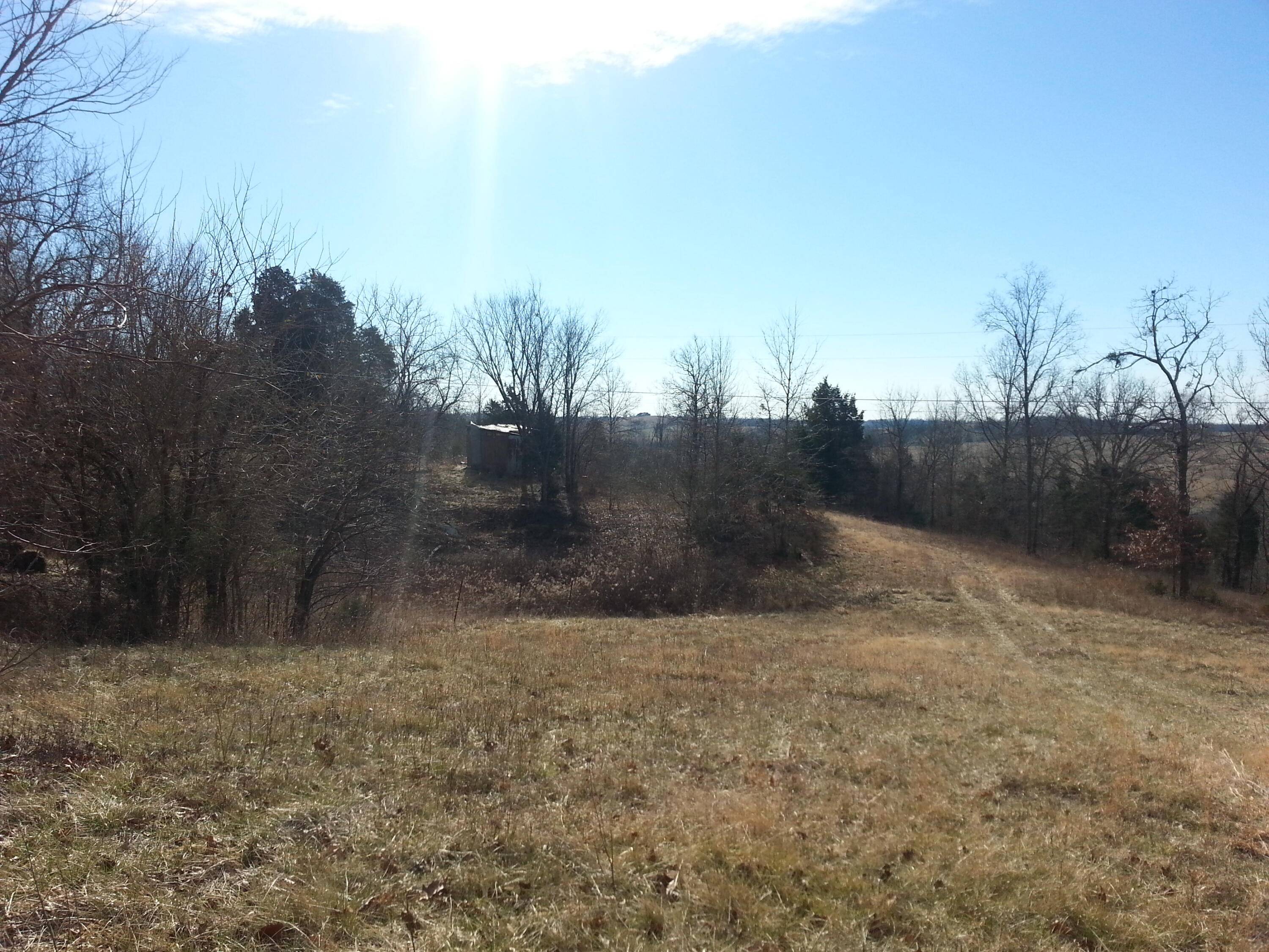 Frankfort, KY 40601,901 Tracy Ln