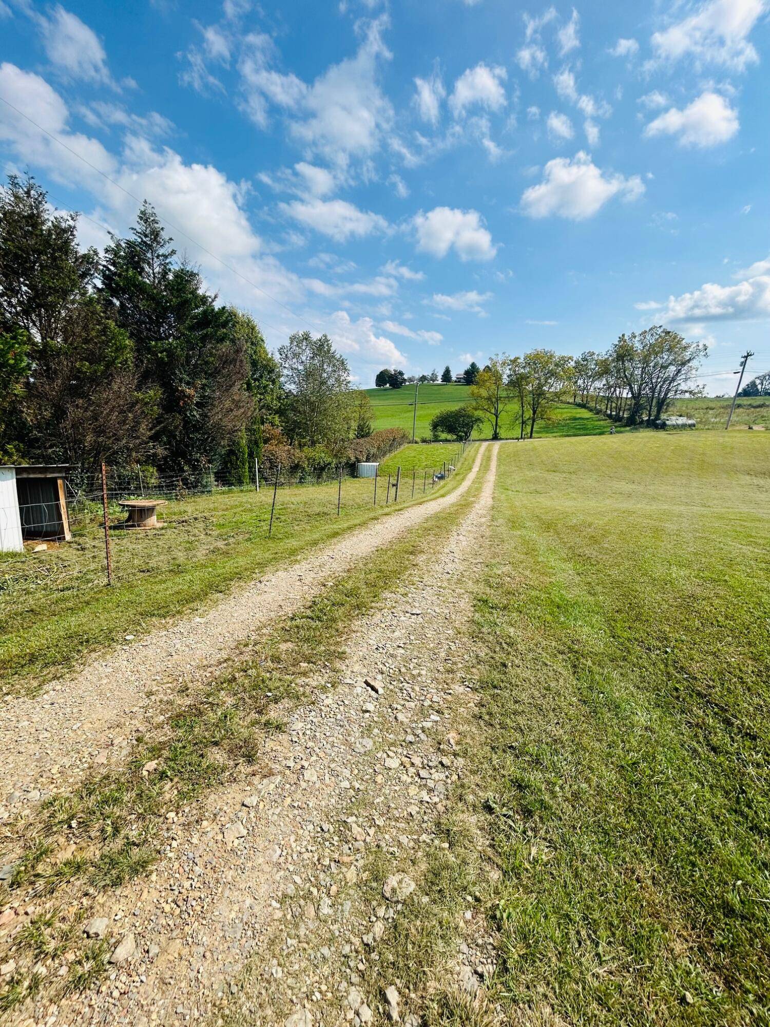 Science Hill, KY 42553,303 Beech Grove Road