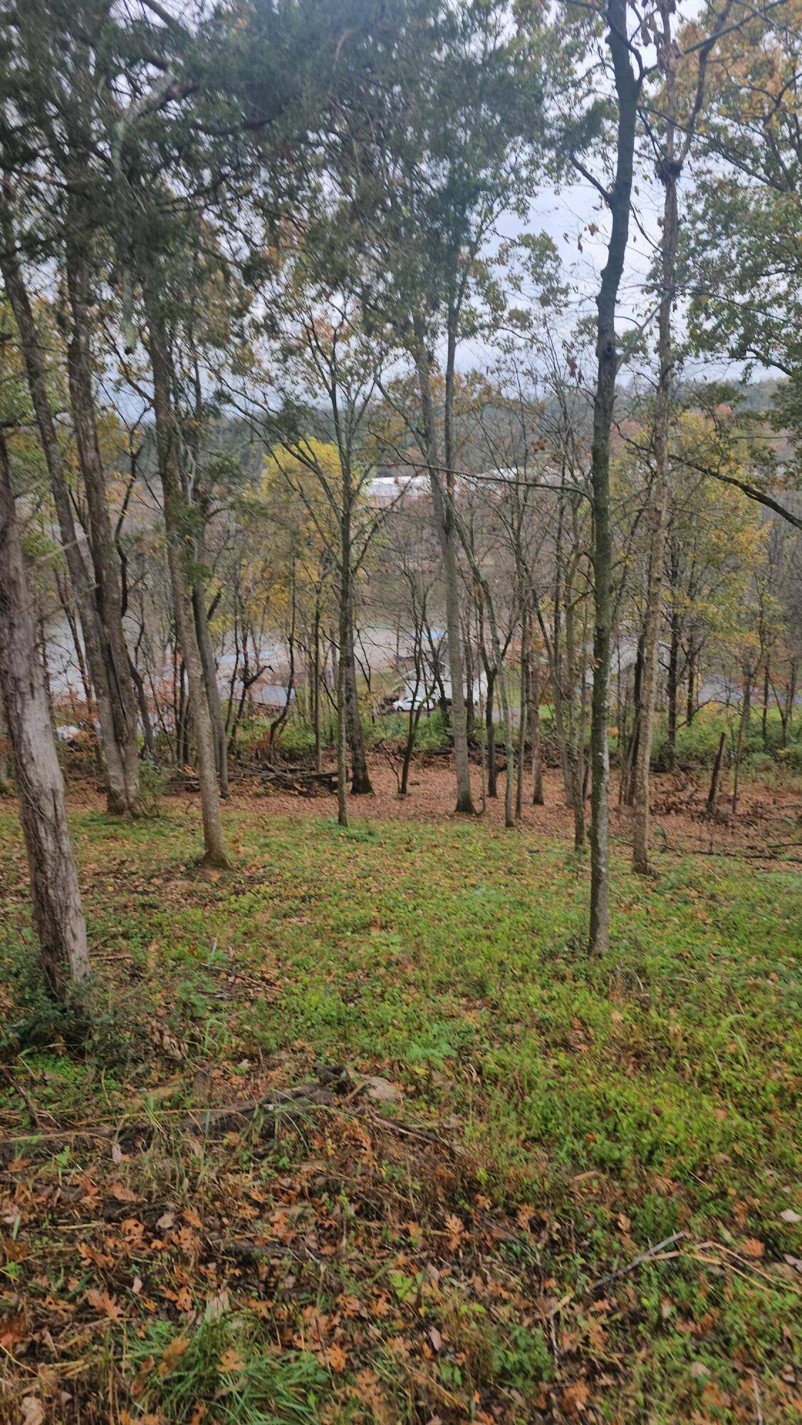 Danville, KY 40422,1785 Pope Road