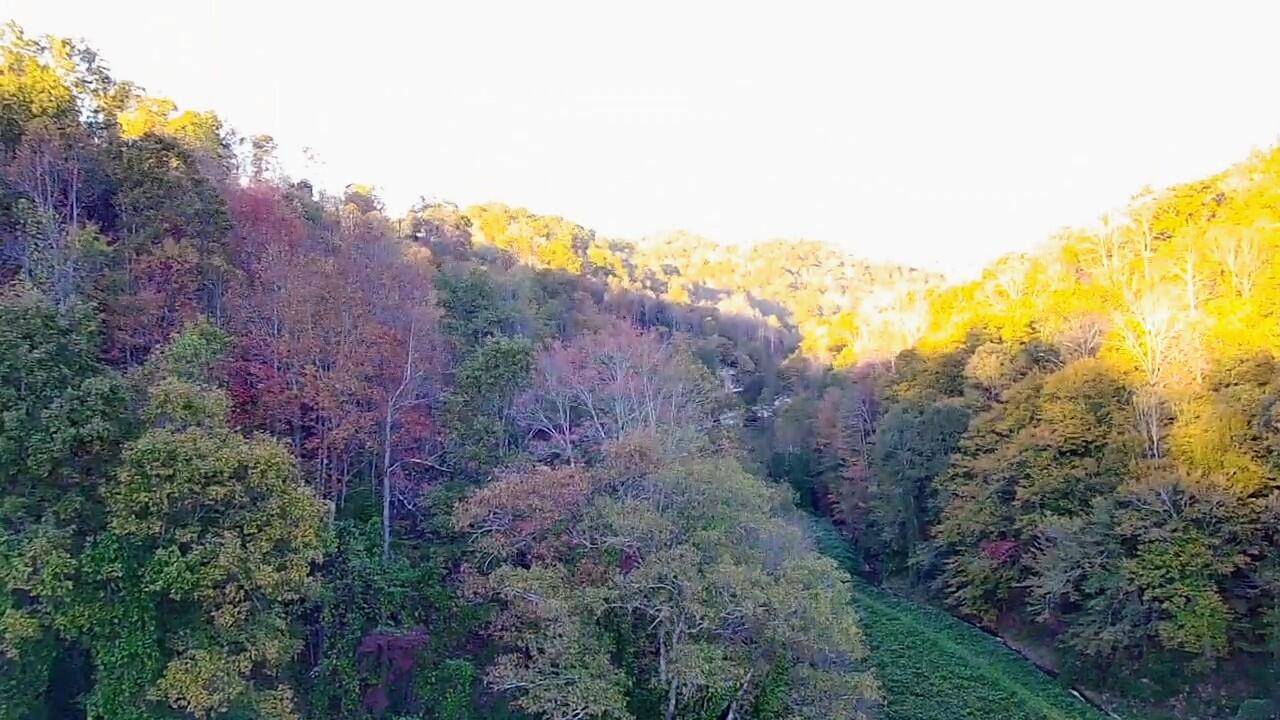Booneville, KY 41314,305 Moores Branch Road