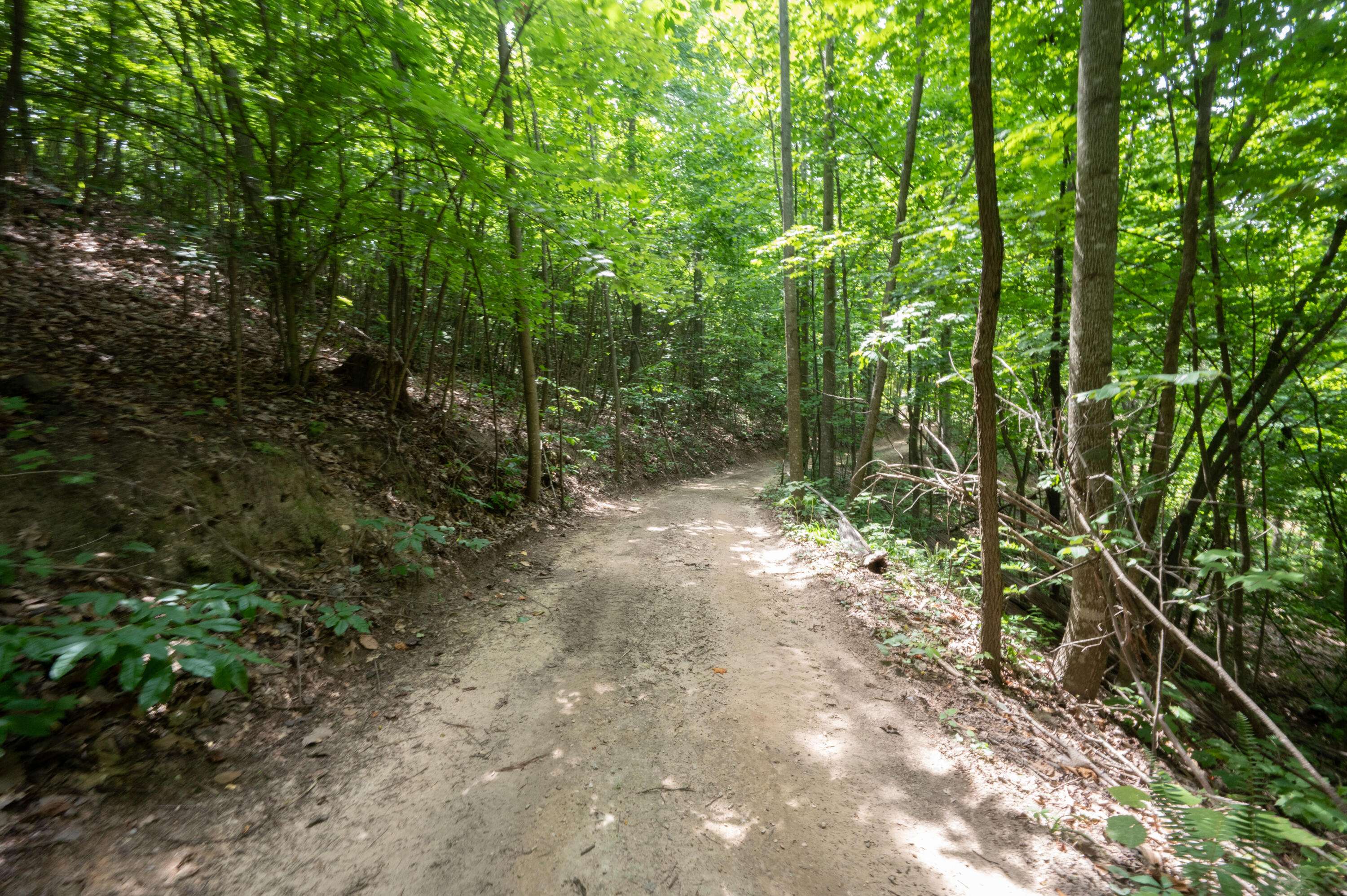 Stanton, KY 40380,Lot 17 Rock House Ridge