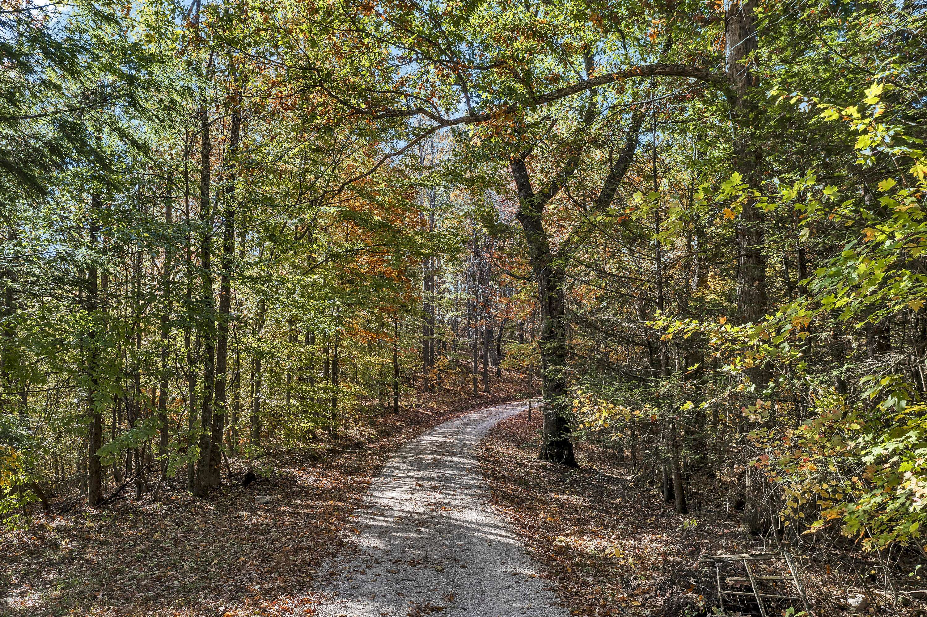 Morehead, KY 40351,20 Lower Caney Creek Road