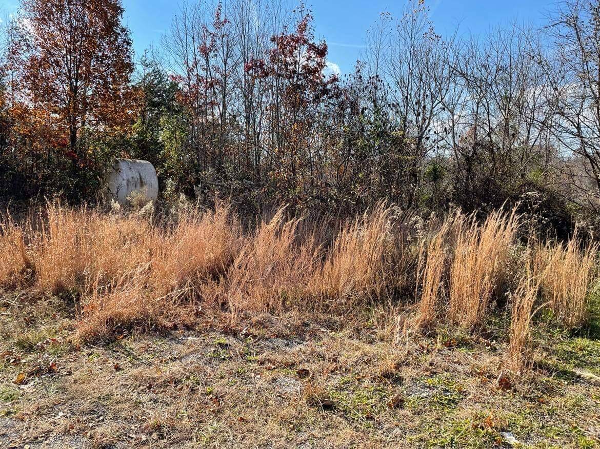 Parkers Lake, KY 42634,4520 Mill Creek Road