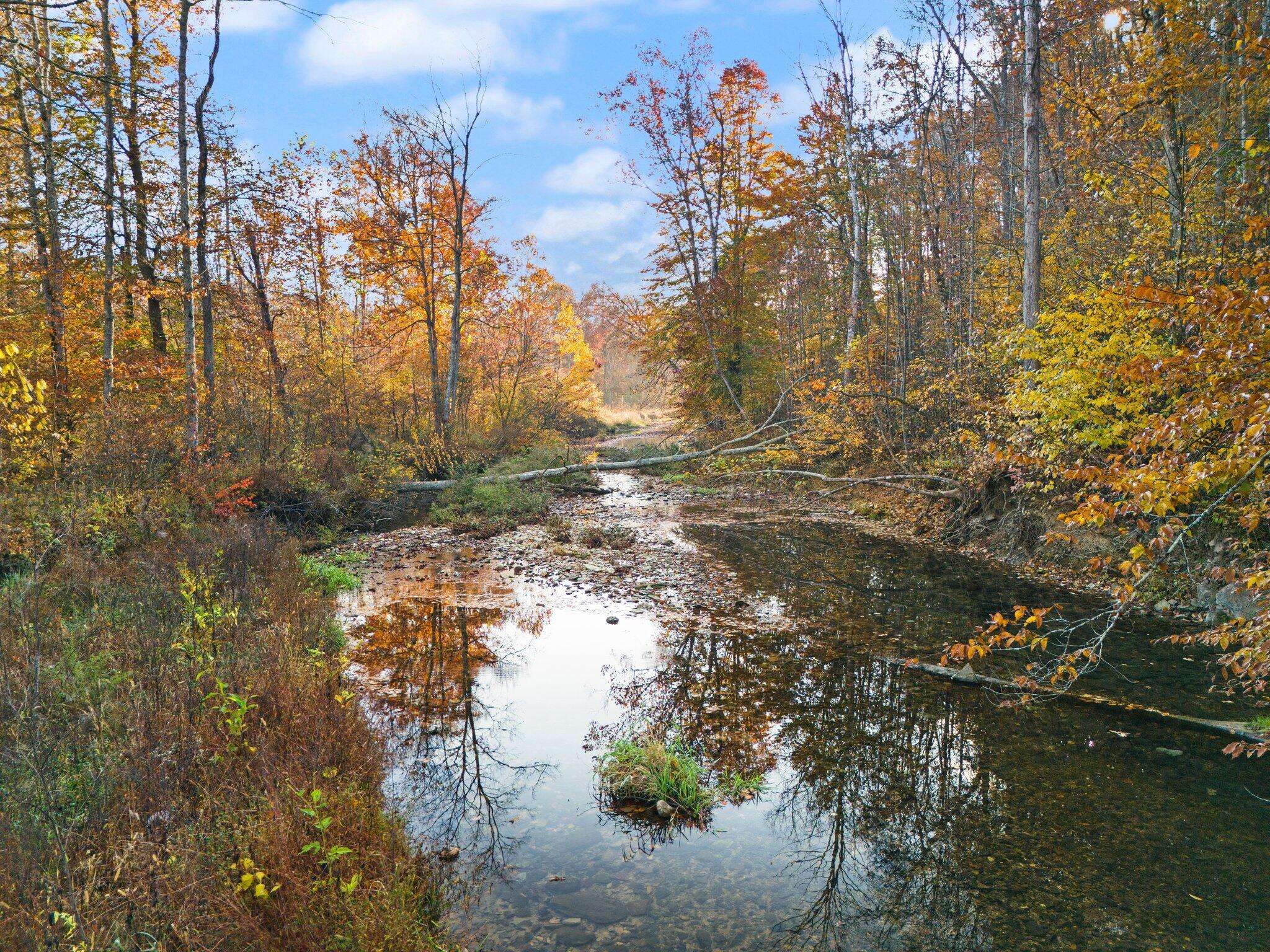 Eubank, KY 42567,000 Singleton School Road