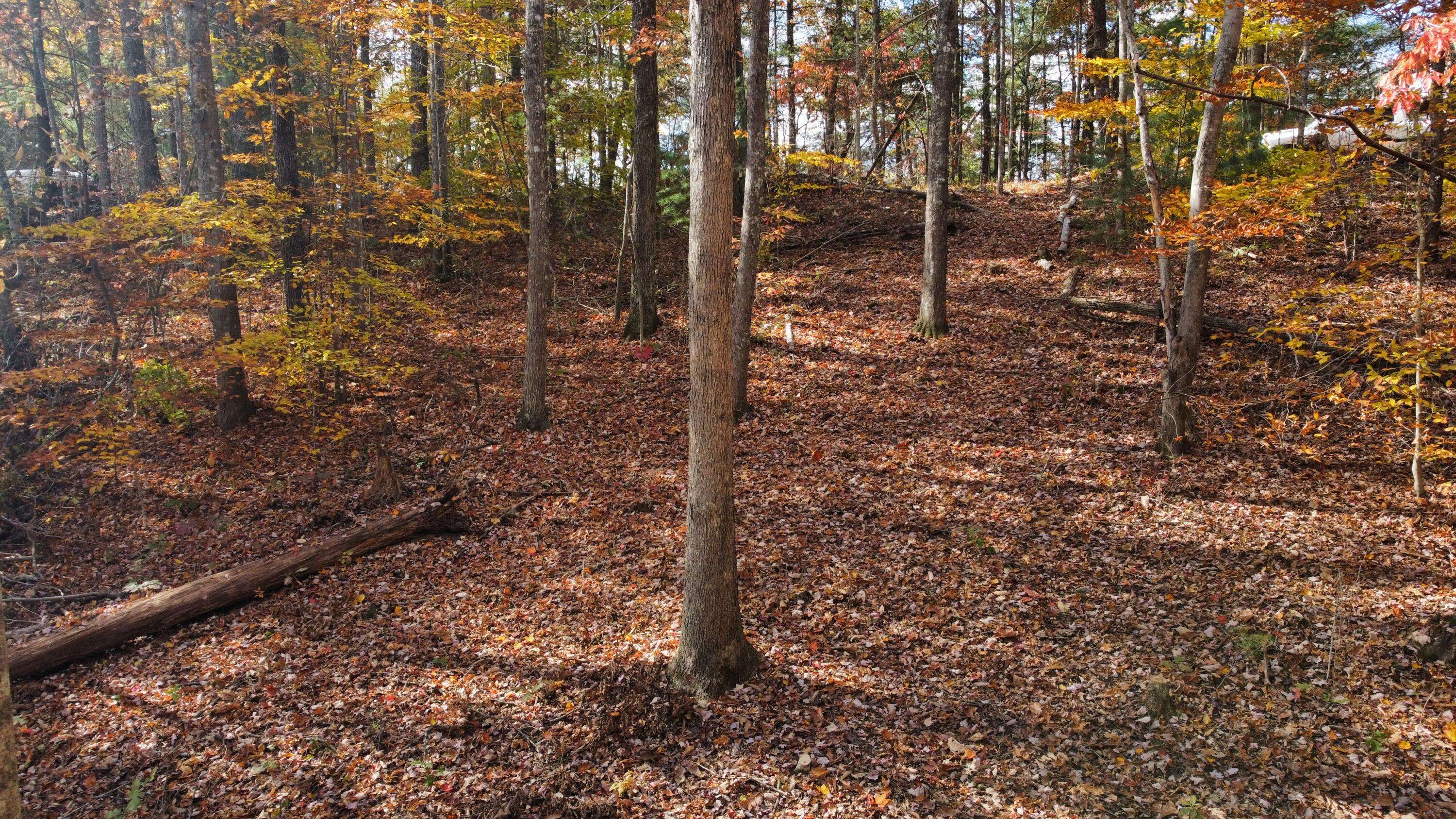 Zoe, KY 41397,Lot #54 The Reserve At Cliffview