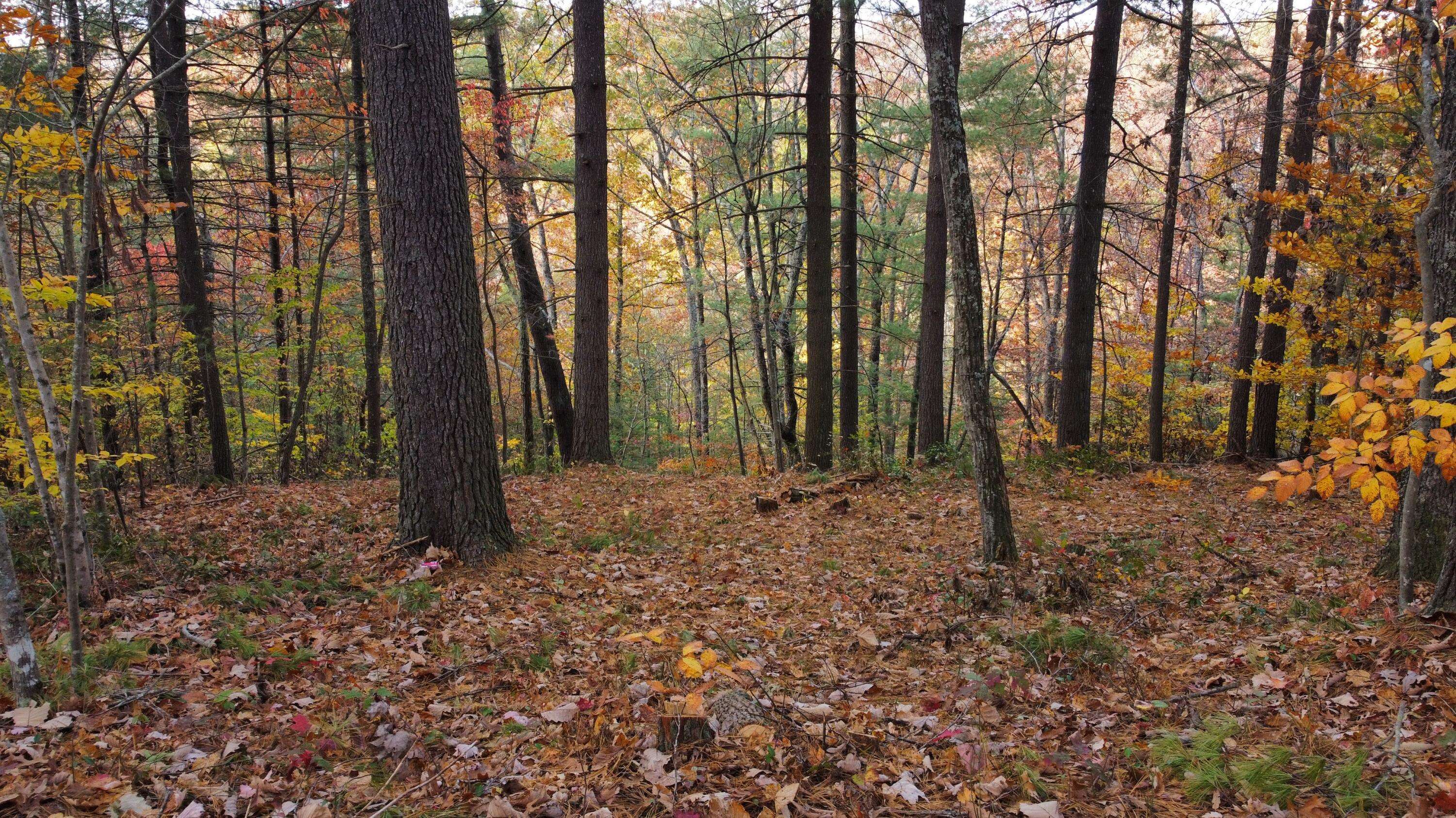 Zoe, KY 41397,Lot #43 The Reserve At Cliffview