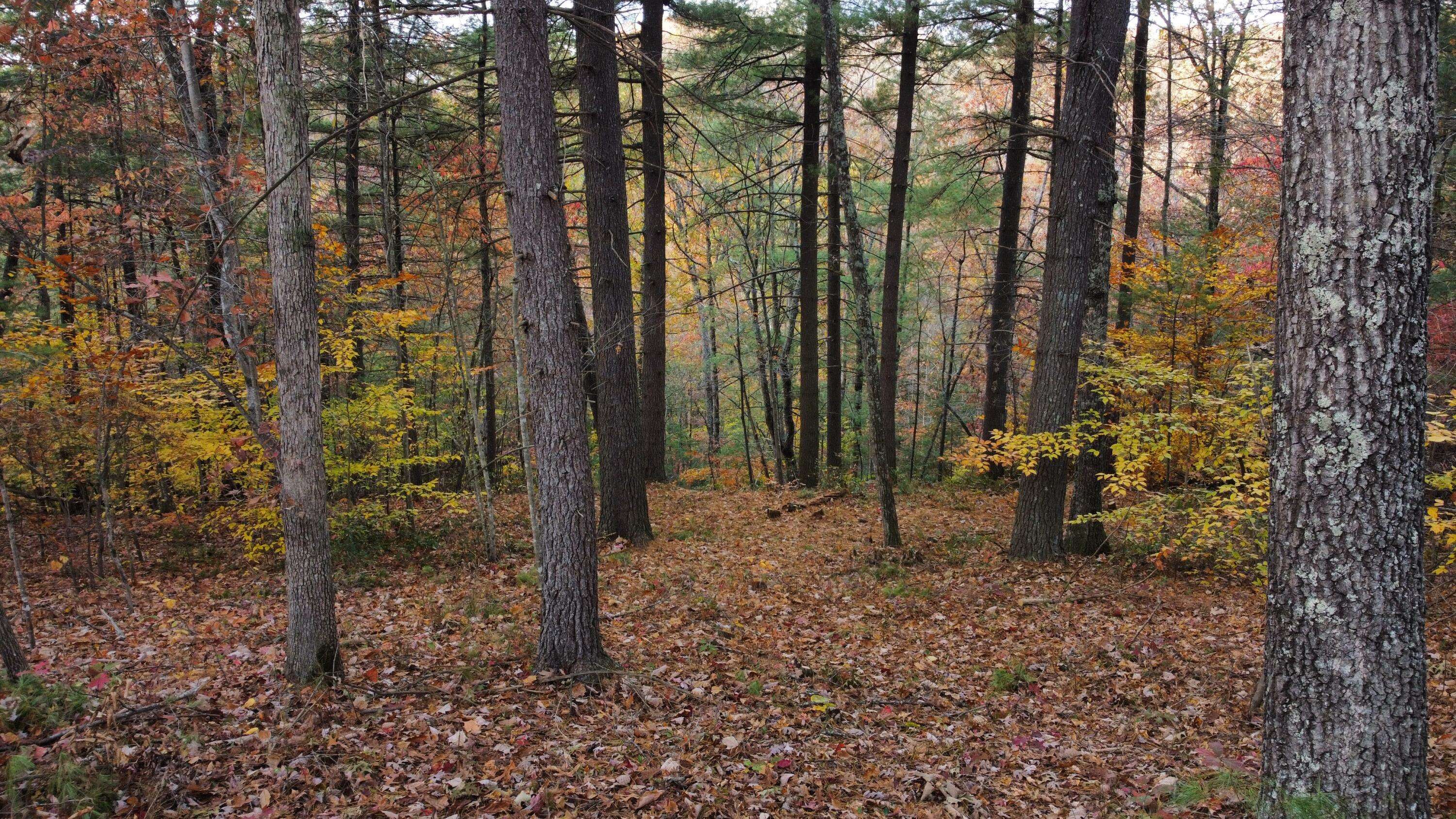 Zoe, KY 41397,Lot #43 The Reserve At Cliffview