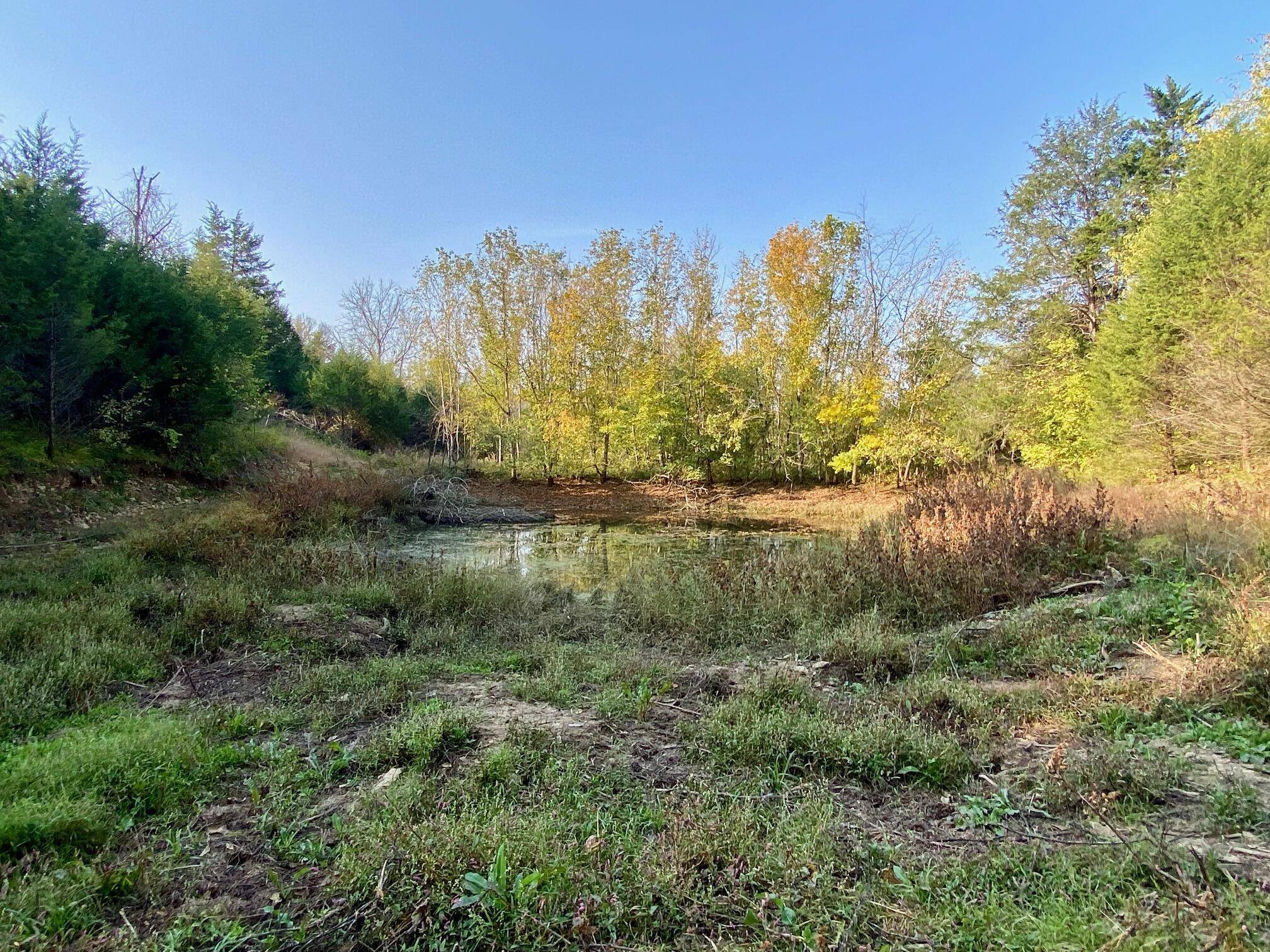 Hillsboro, KY 41049,84 AC South Lick Branch Road