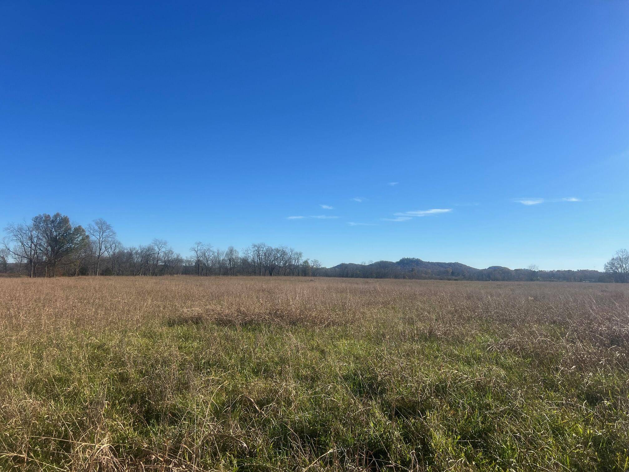 Crab Orchard, KY 40419,8890 US-Hwy 150E #Parcel 2