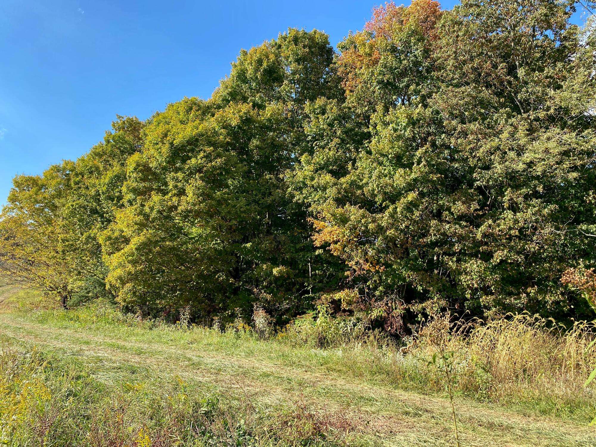 Denniston, KY 40316,Lot 5 Sky Ridge Retreats