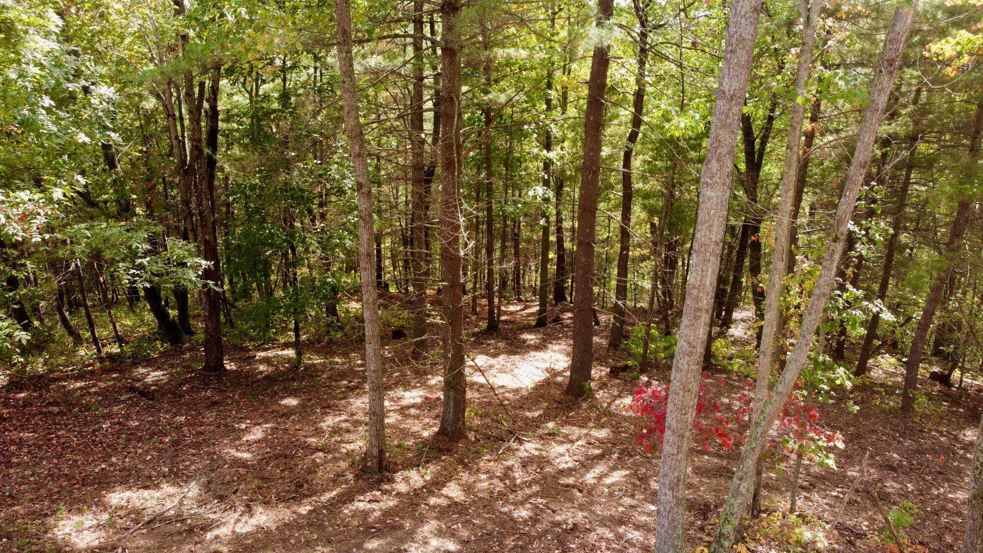 Denniston, KY 40316,Lot 12 Sky Ridge Retreats