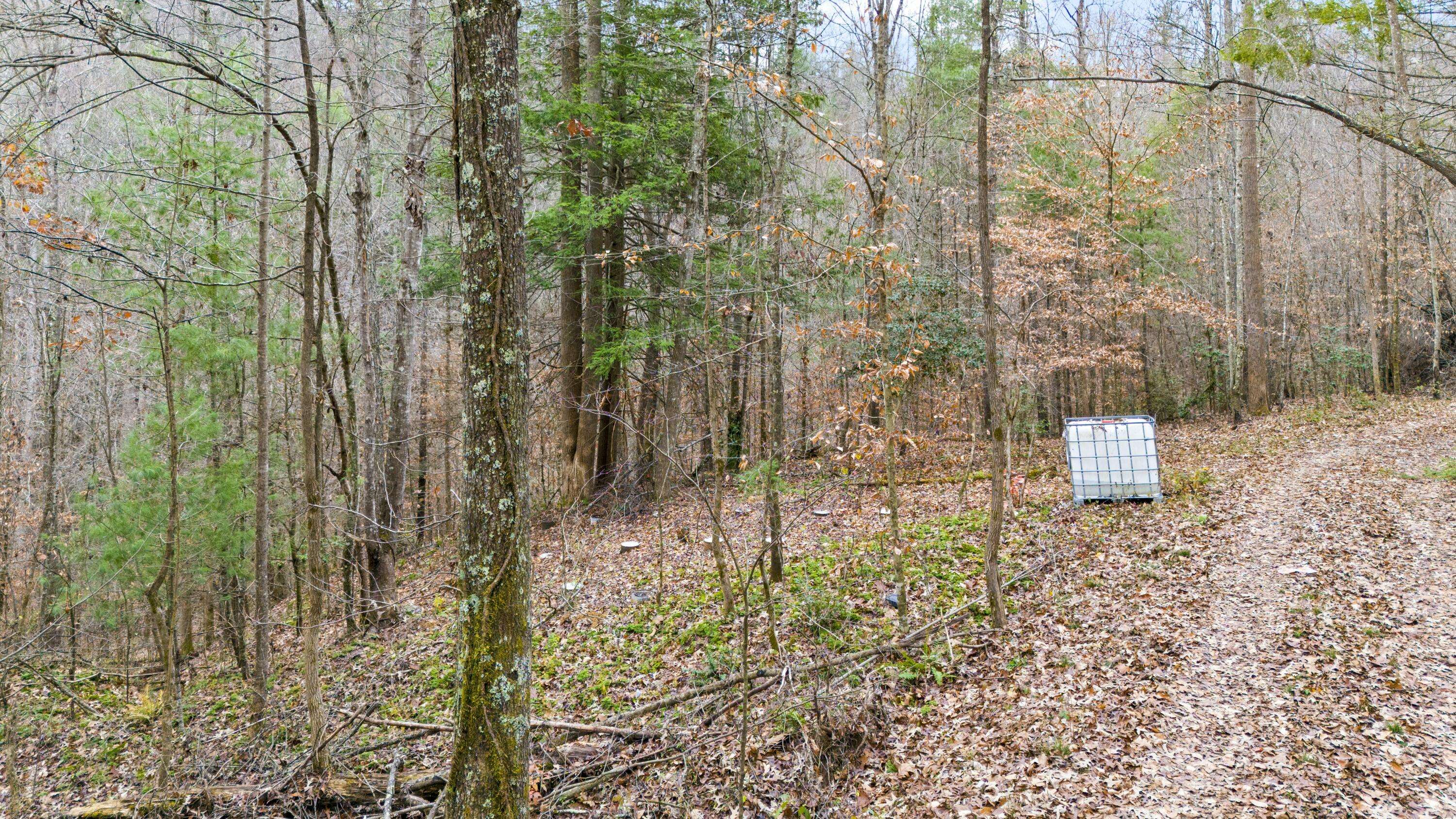 Campton, KY 41301,Lot 21 Lacey Lane