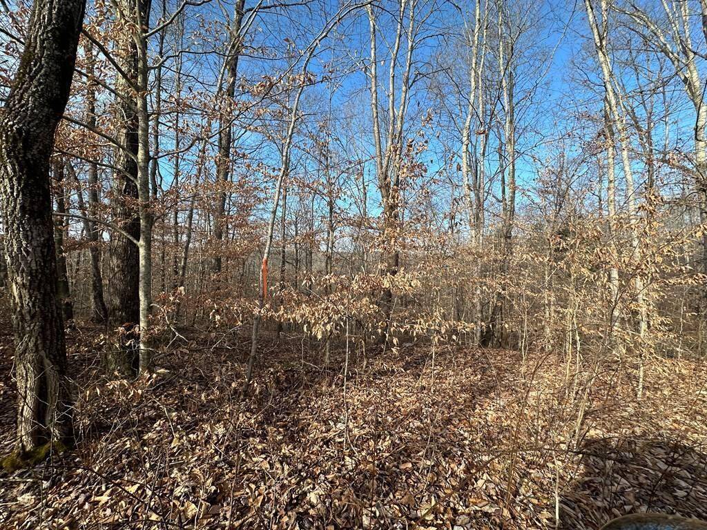 Burkesville, KY 42717,7.5 Ac Beauchamp Rd