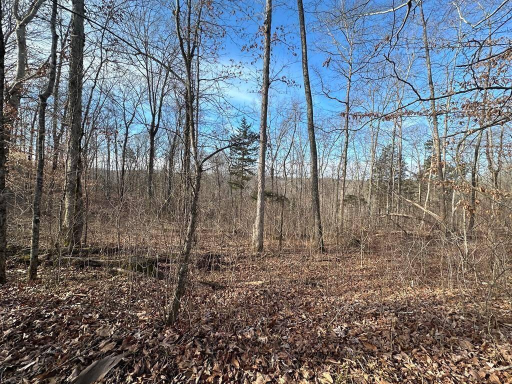 Burkesville, KY 42717,7.5 Ac Beauchamp Rd