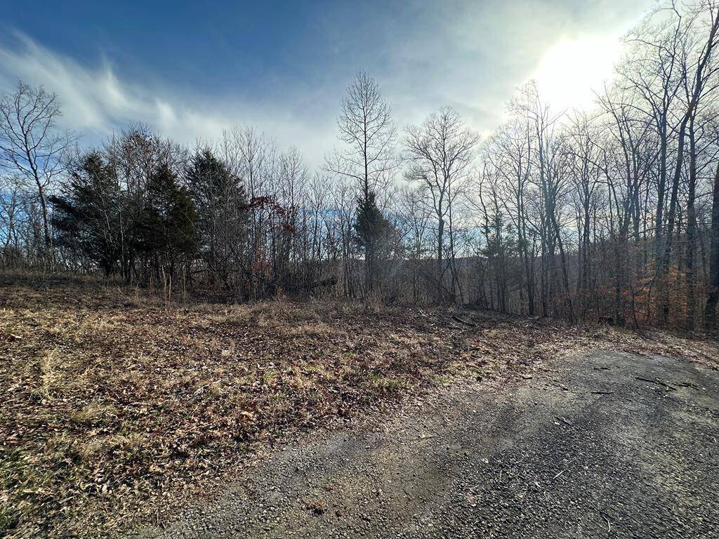 Burkesville, KY 42717,7.5 Ac Beauchamp Rd