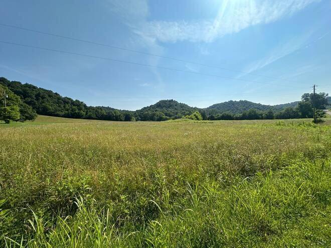 Burkesville, KY 42717,11 Long Hollow