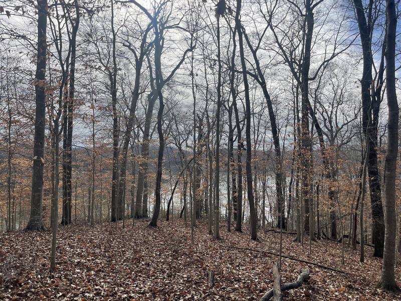 Nancy, KY 42544,Lot 11 Fishing Creek Estates