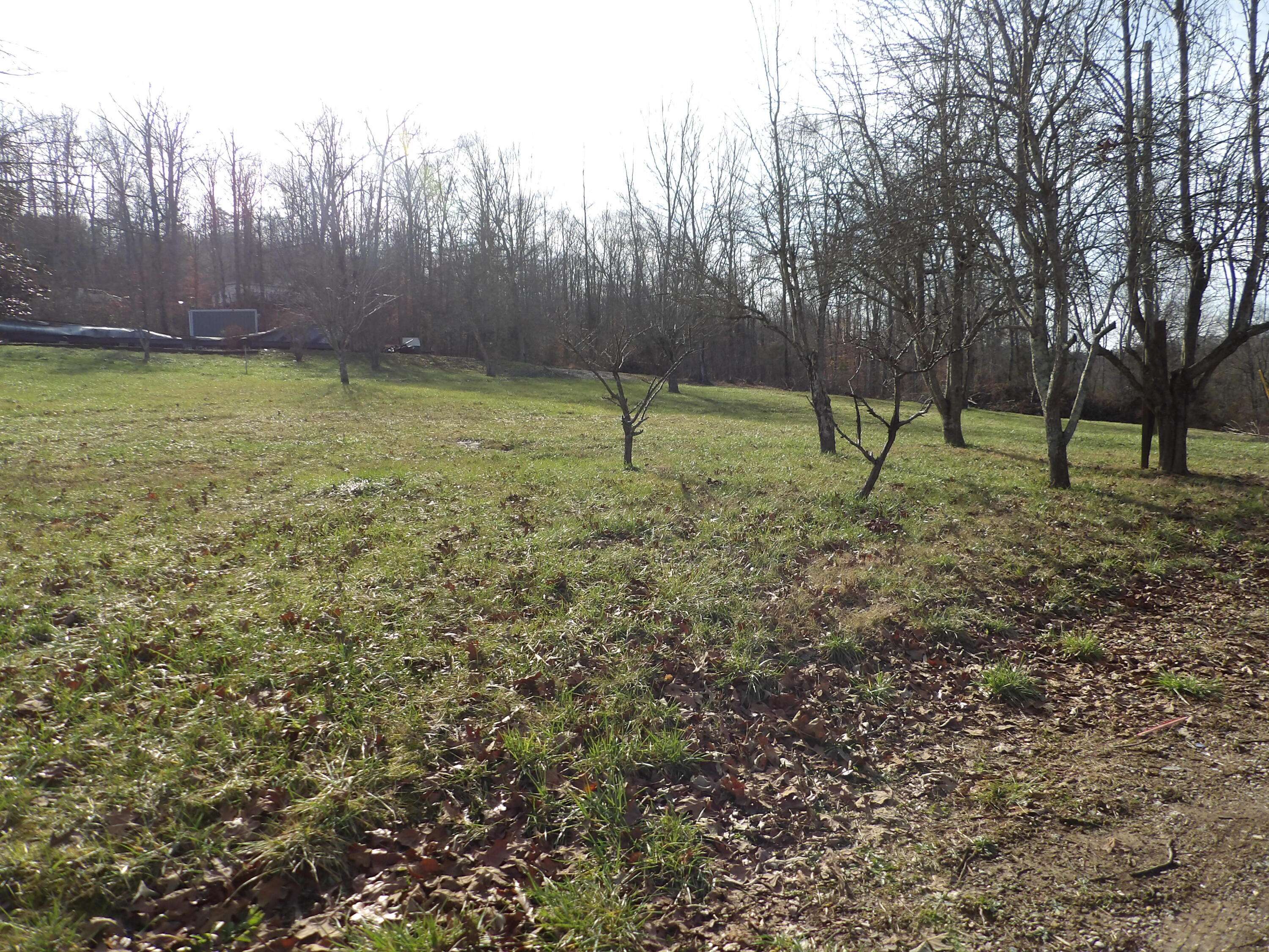 Monticello, KY 42633,6685 Parmleysville Road