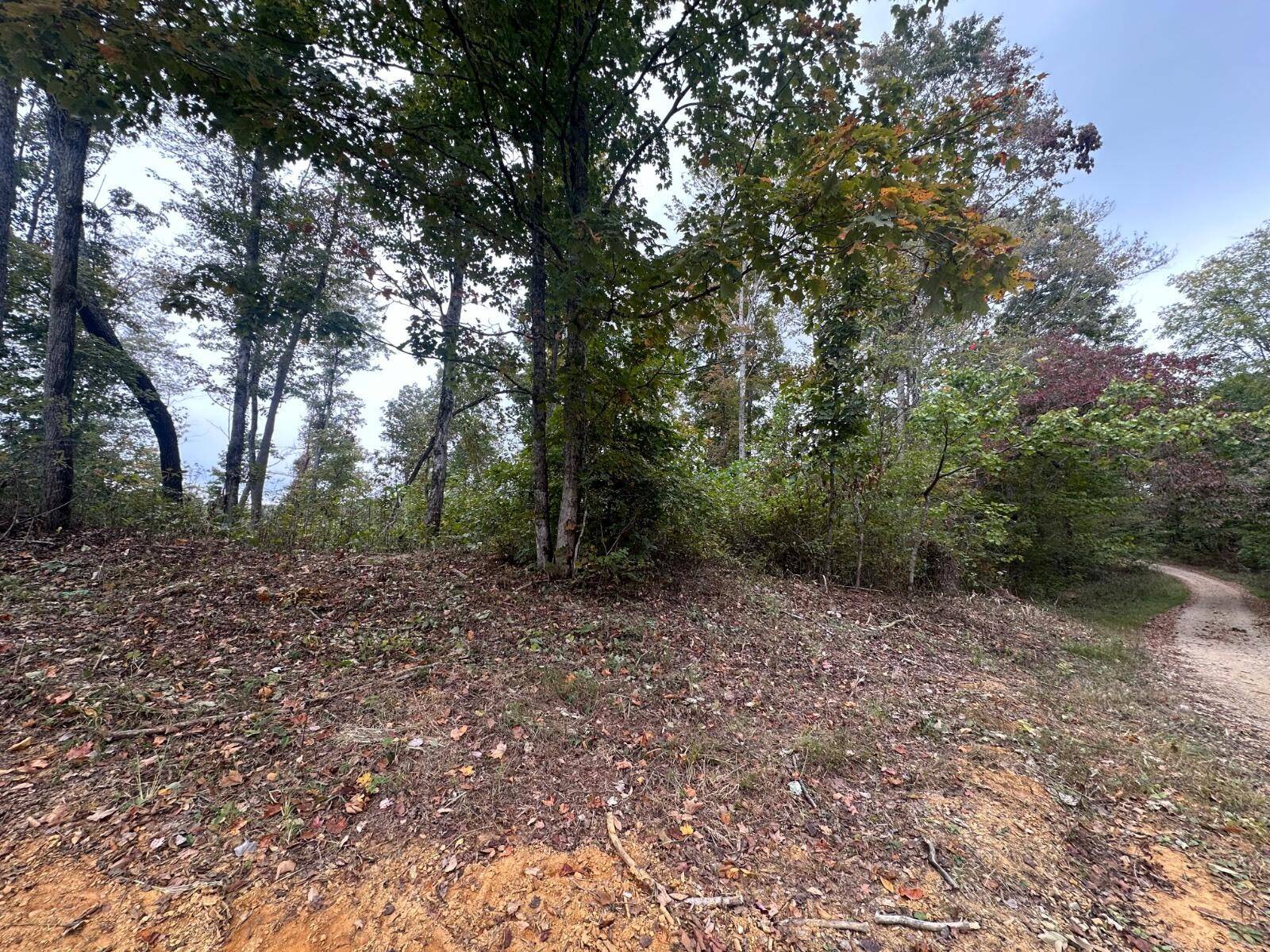 Celina, TN 38551,51 Dale Hollow Shores