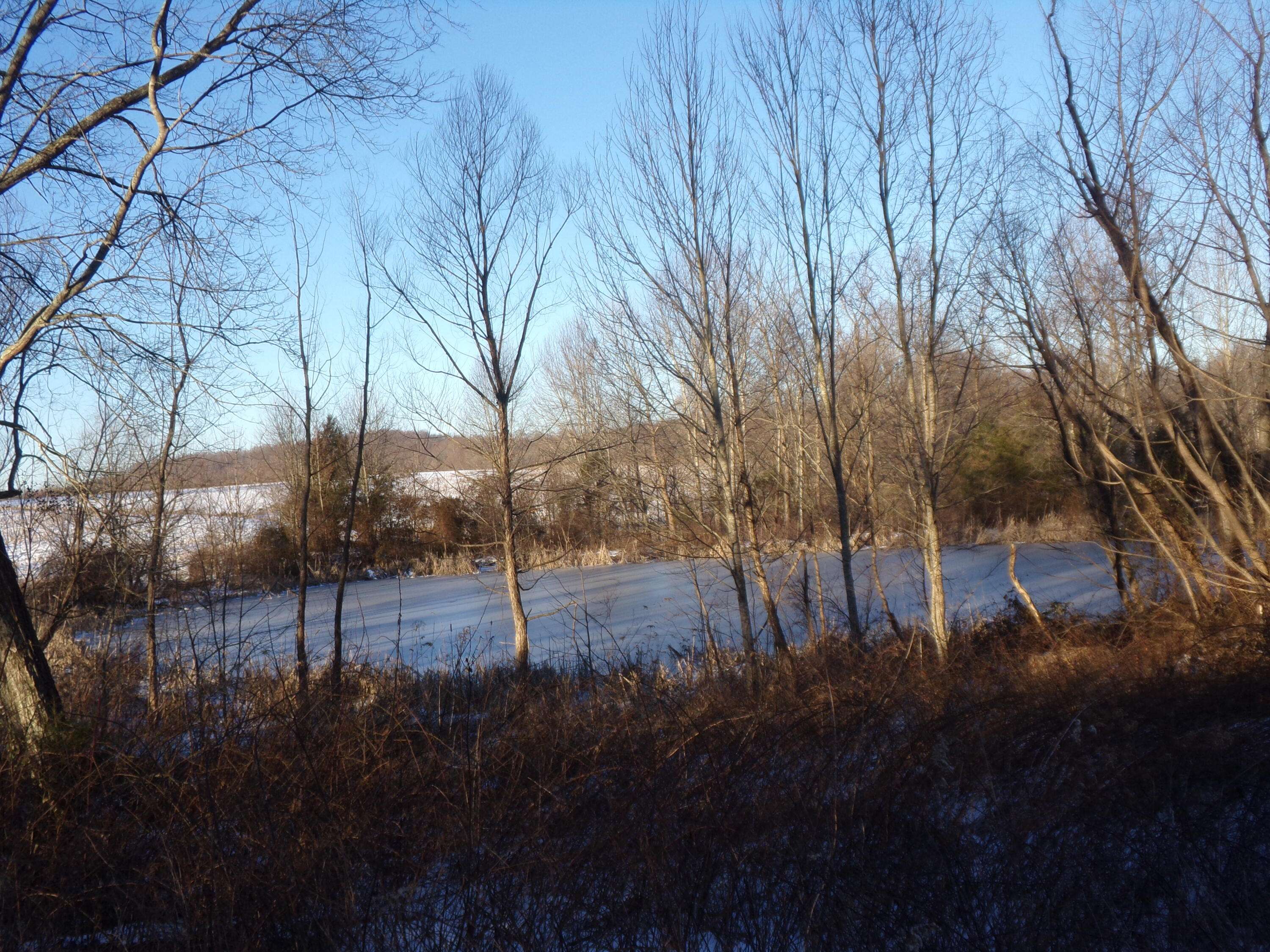 Bethelridge, KY 42516,3300 Vaught Ridge Road
