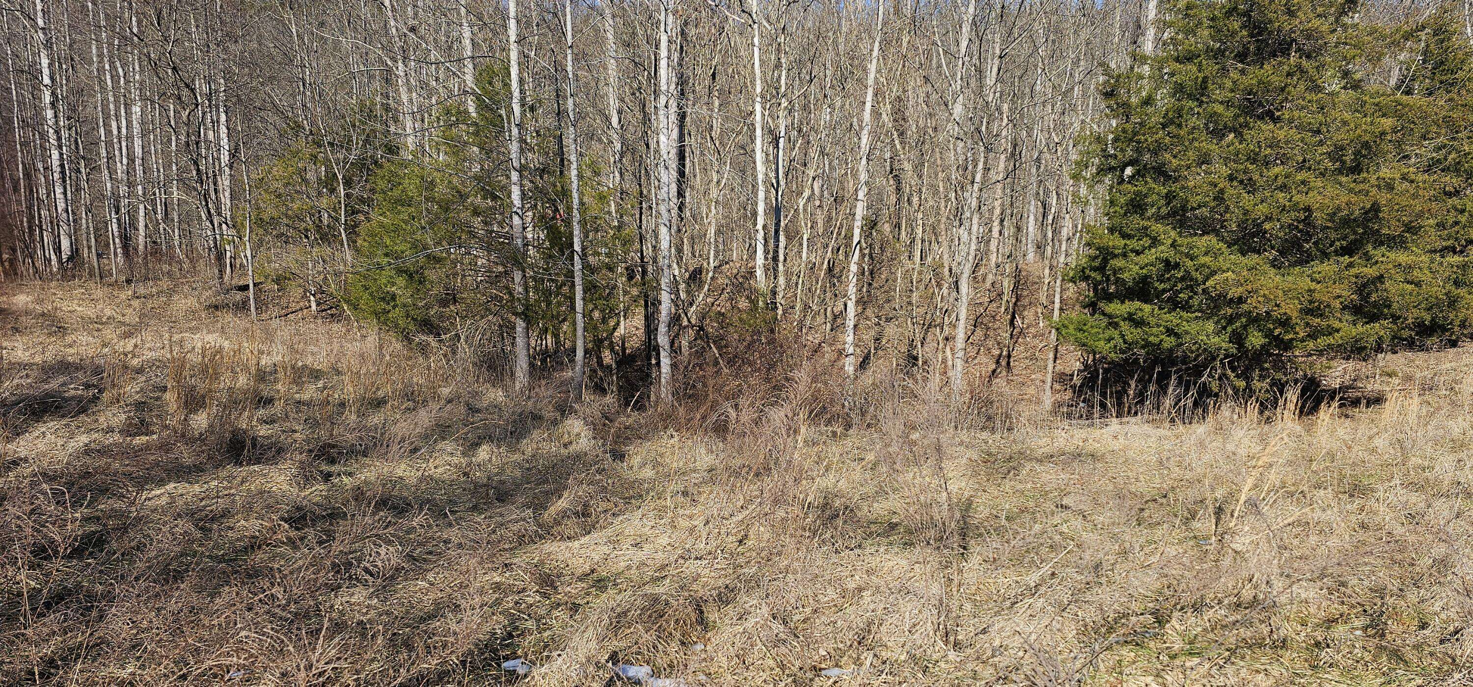 Lawrenceburg, KY 40342,1011 Gilberts Creek Road