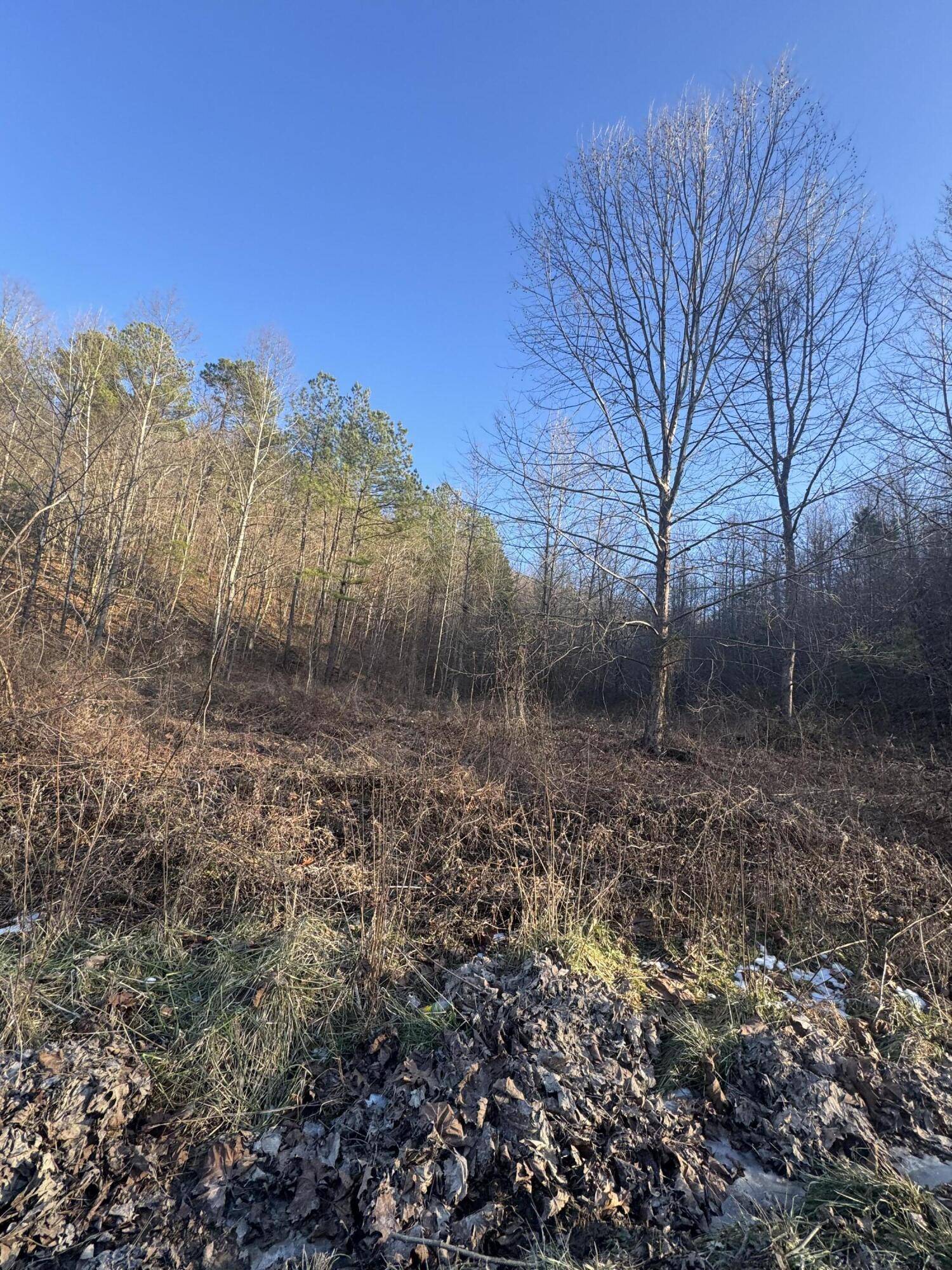 Manchester, KY 40962,9999 Crawfish Road