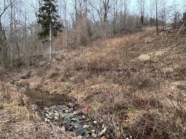Mt Vernon, KY 40456,9999 East Fork Skaggs Rd