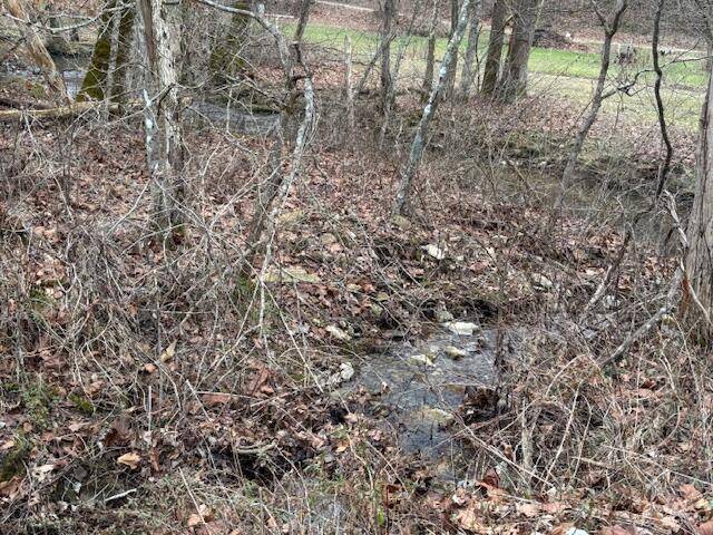 Mt Vernon, KY 40456,9999 East Fork Skaggs Rd