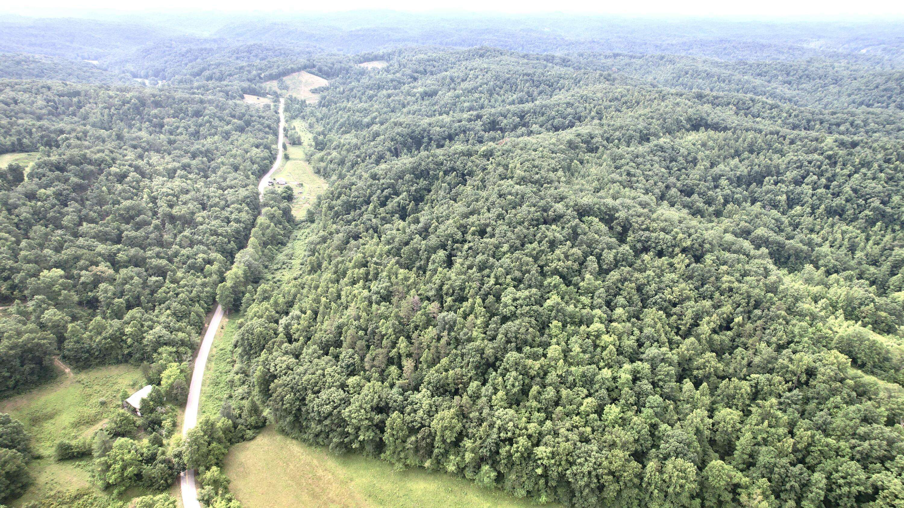 Tyner, KY 40486,1302 Hwy 1709