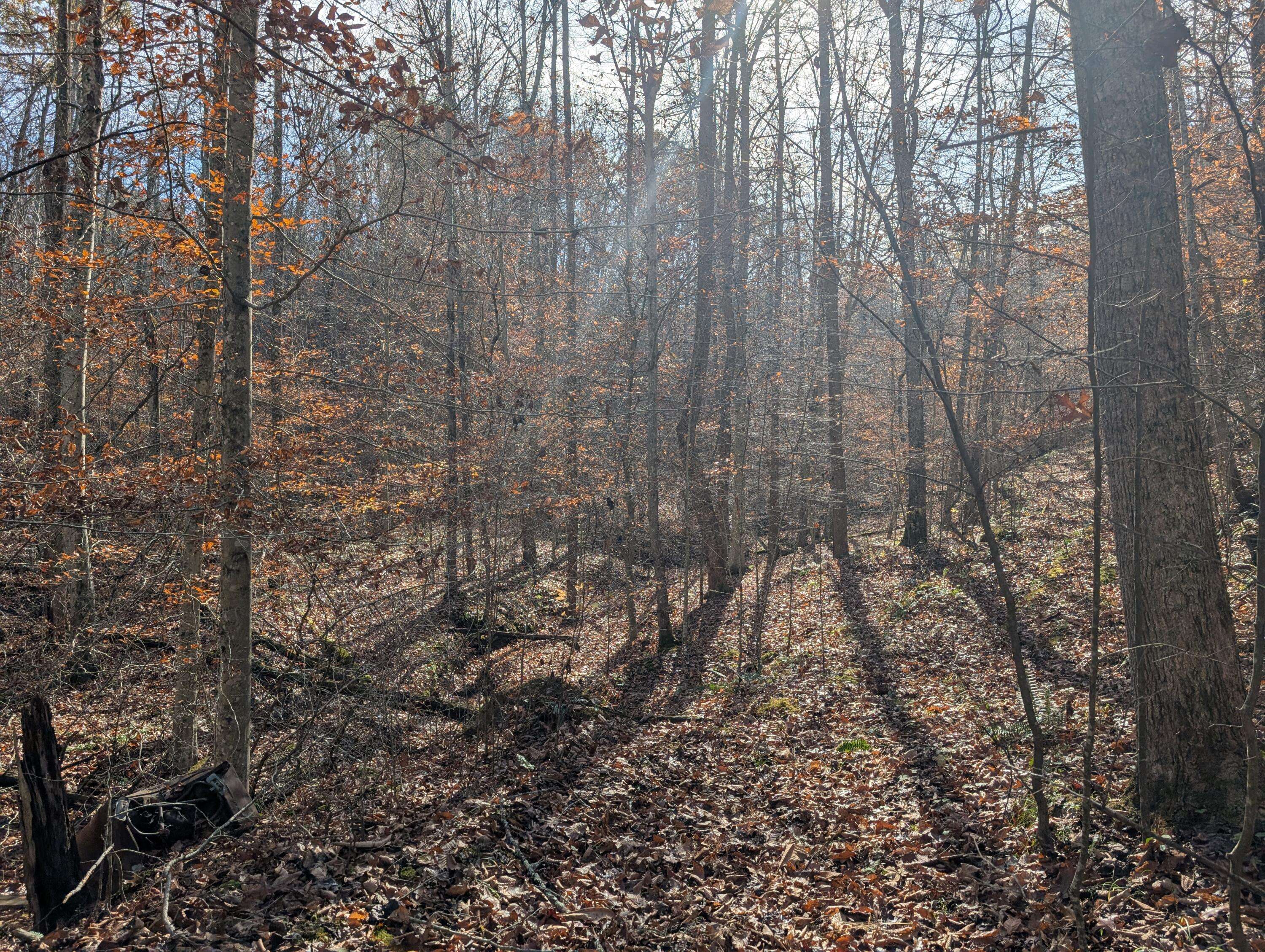 Stanton, KY 40380,0 Hatton Creek Road