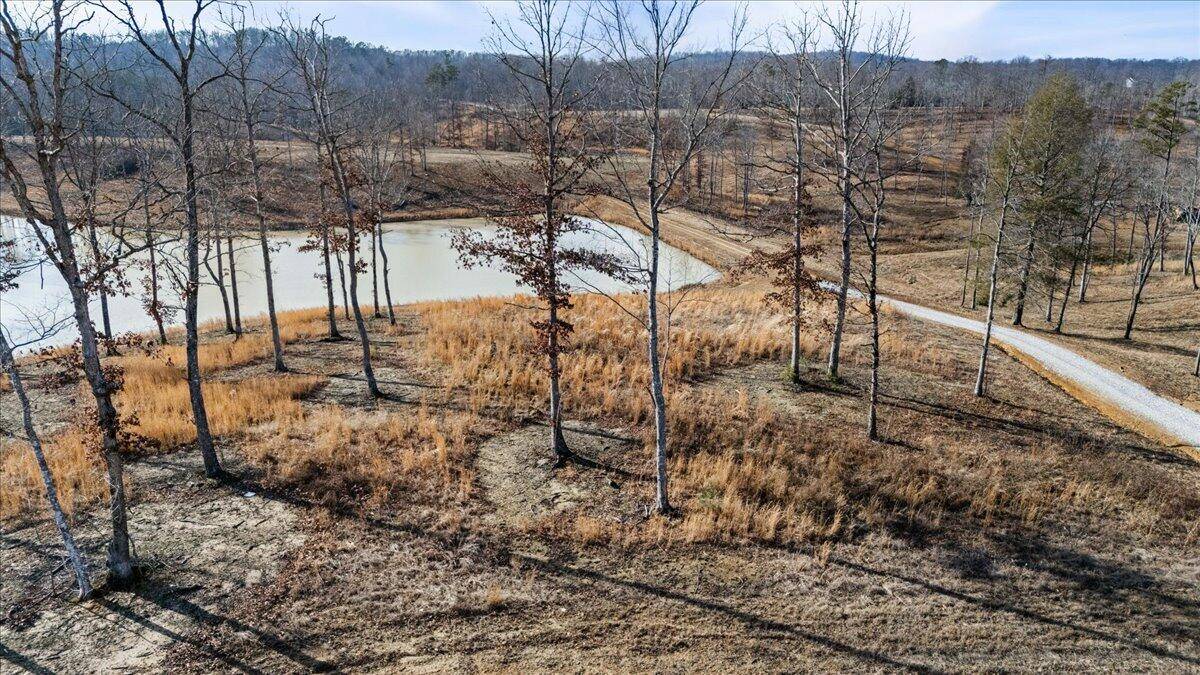 Corbin, KY 40701,lots 51&53 Twin Ponds Rd