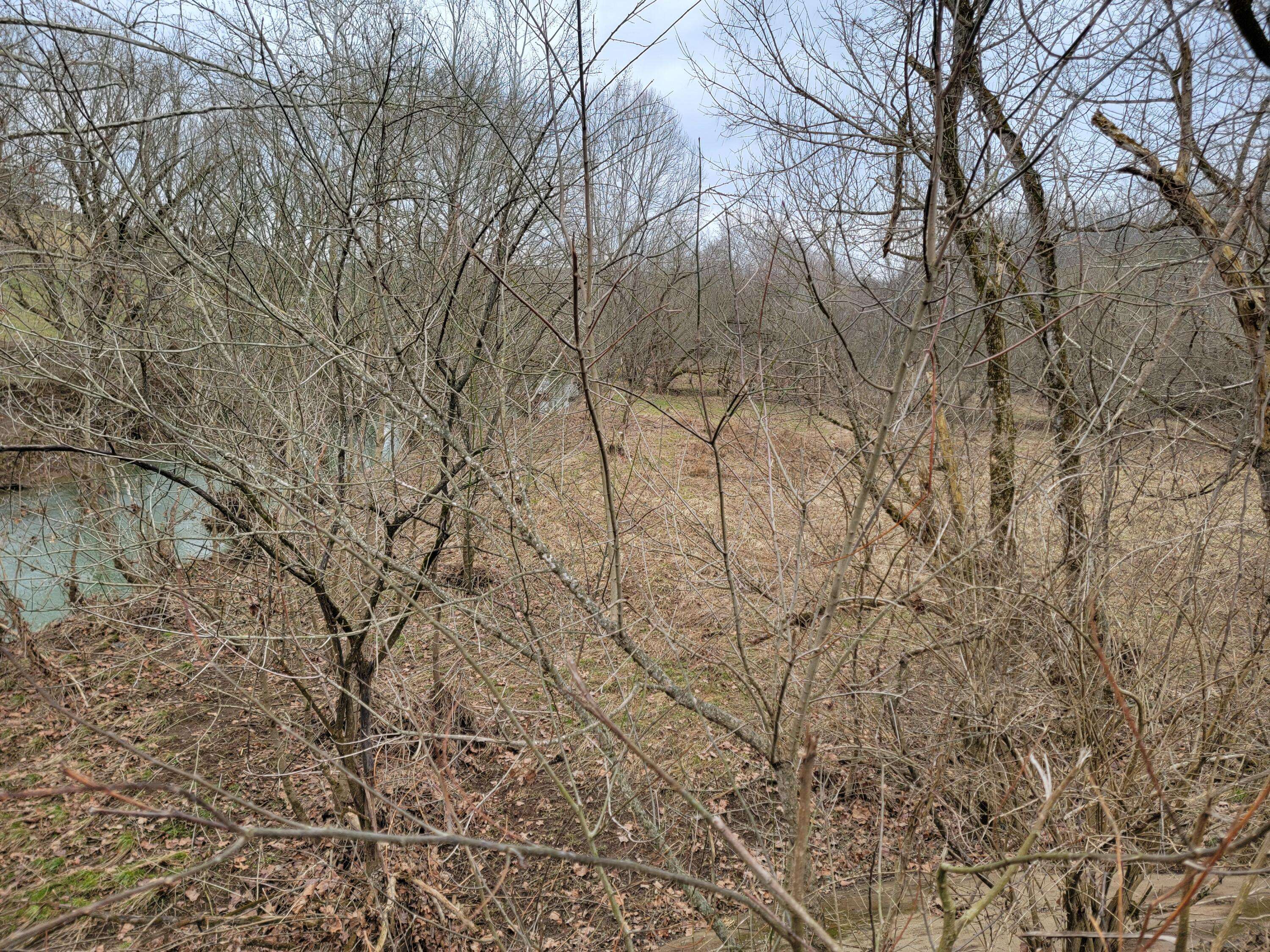 Sharpsburg, KY 40374,0 Convict Road