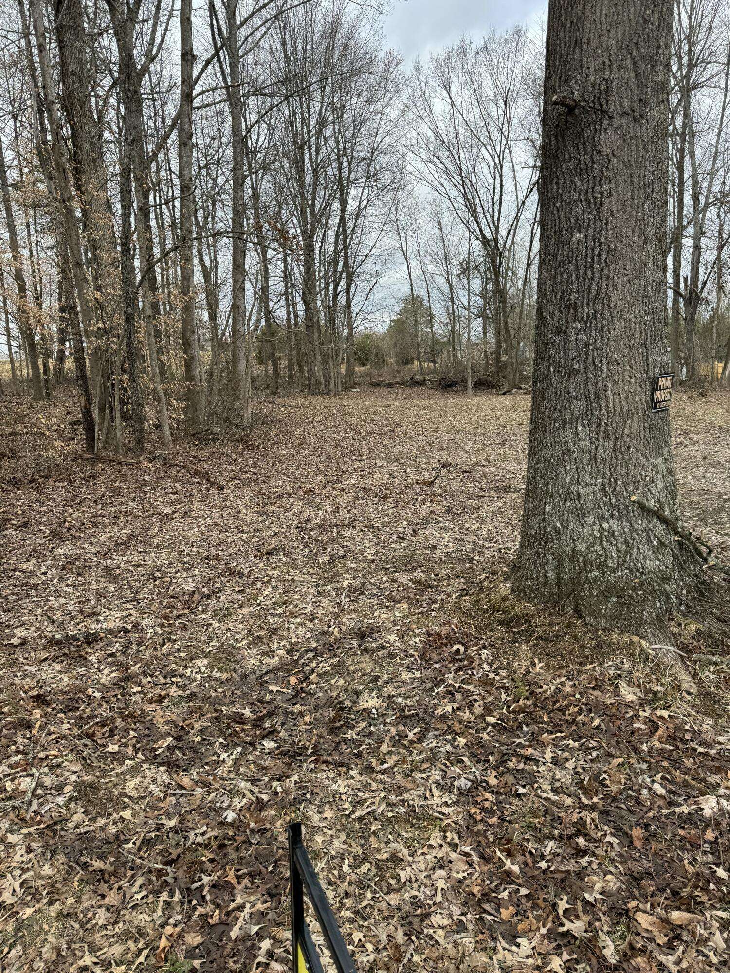 Russell Springs, KY 42642,305 Hart Lane