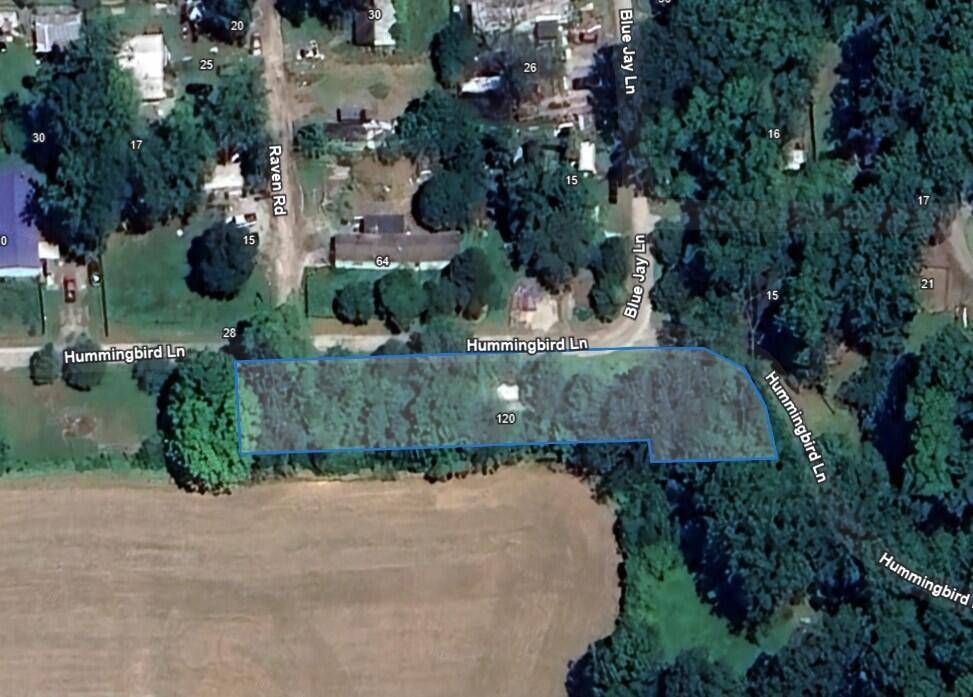 Worthville, KY 41098,0 Hummingbird Lane