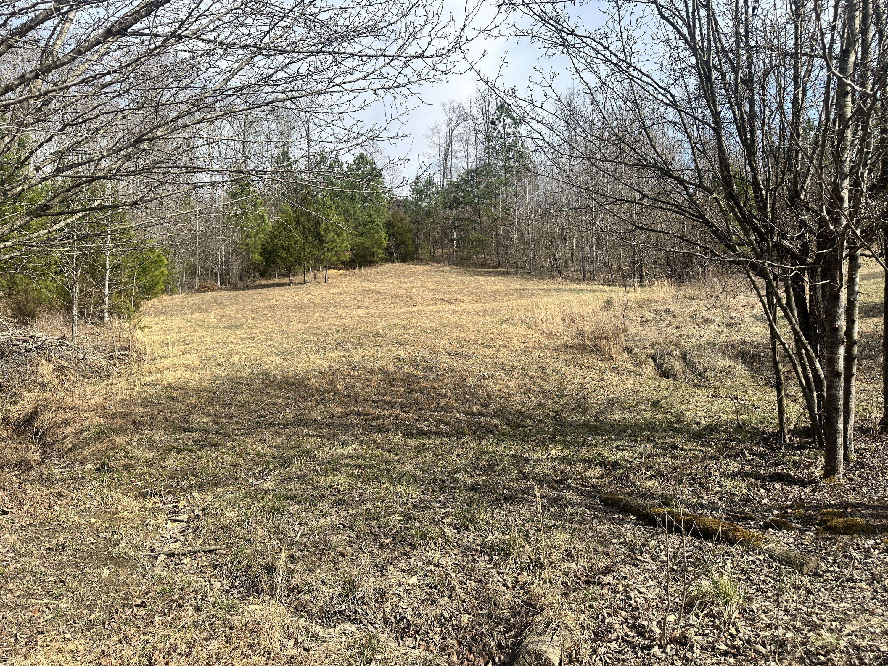 Monticello, KY 42633,Lot 12 Tom O'Ryan Road
