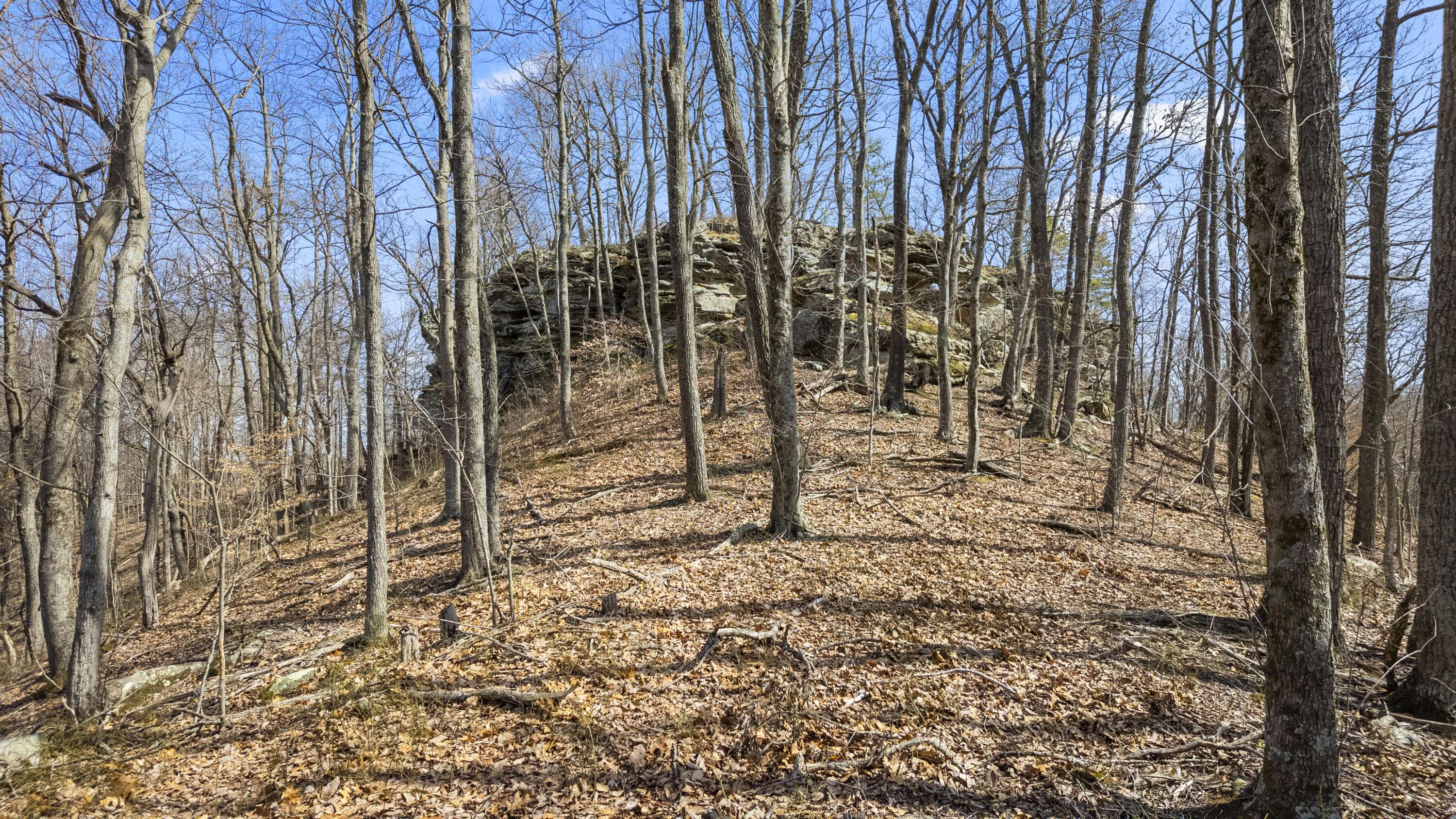 Hazel Green, KY 41332,1954 Wheel Rim Road