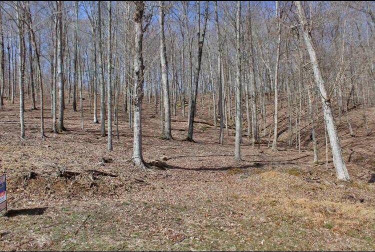 Somerset, KY 42501,1230 Haynes Knob Road